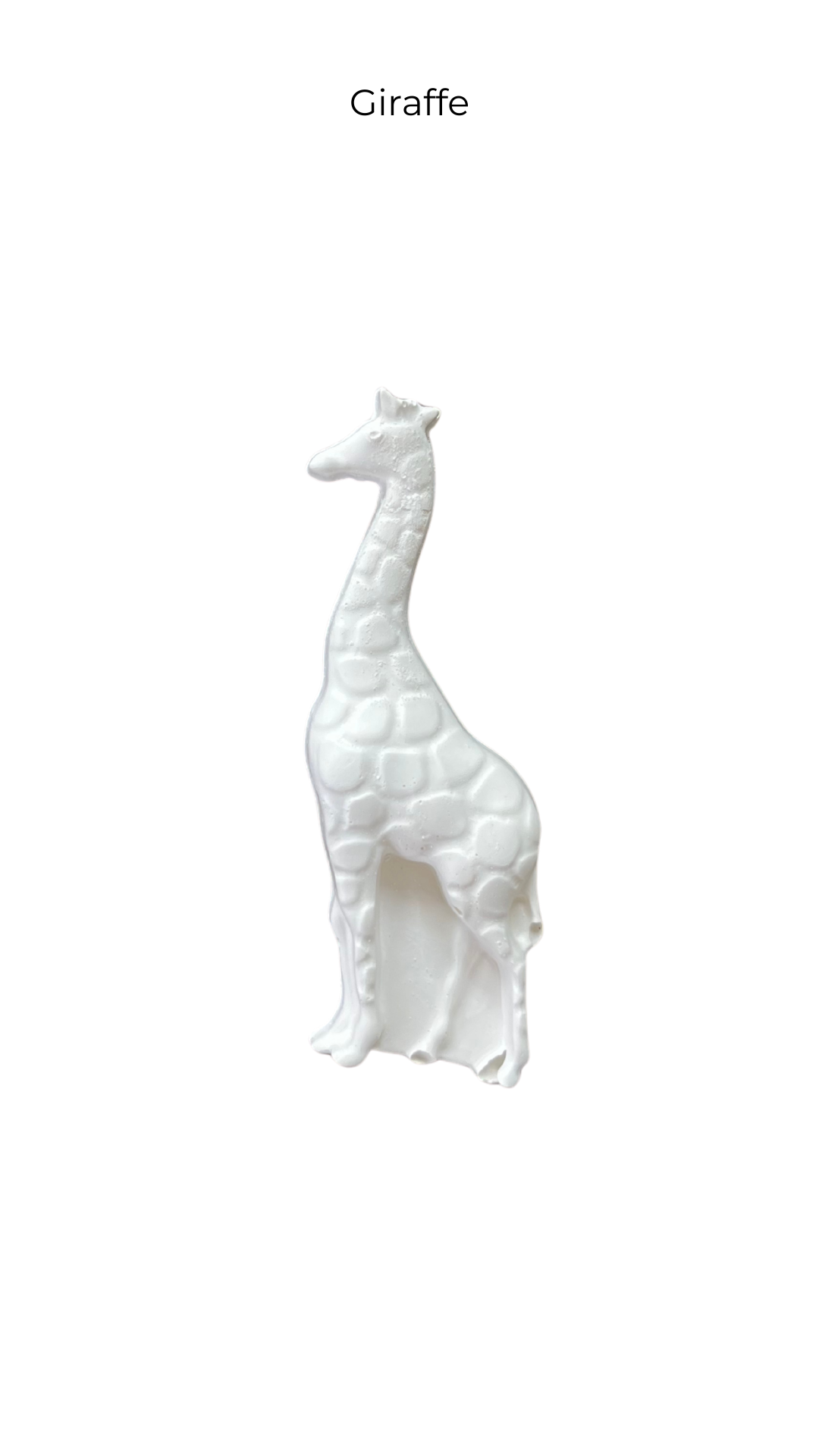 Giraffe | Animals | ANM-011