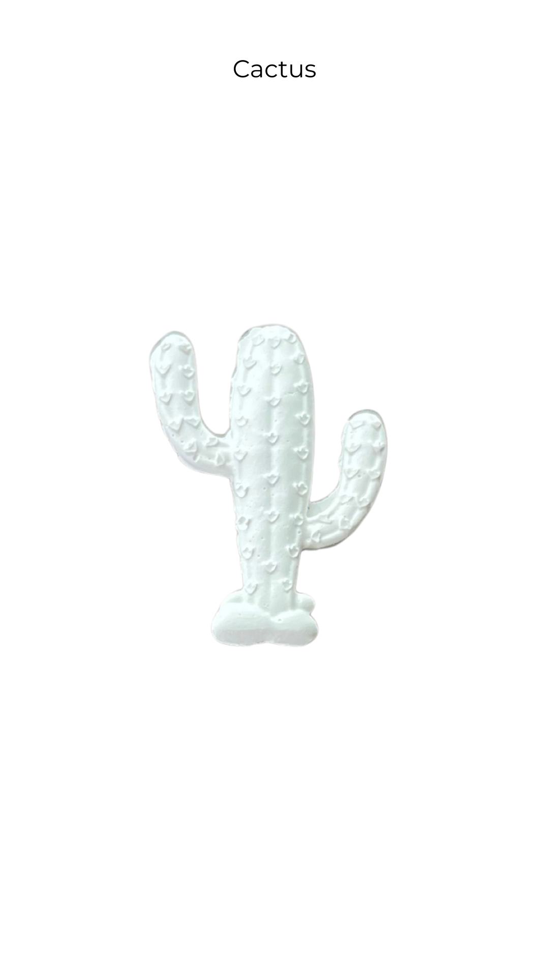Cactus | Places  | LOC-018