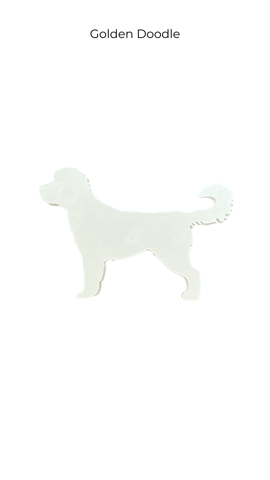 Golden Doodle | Dogs | DOG-006