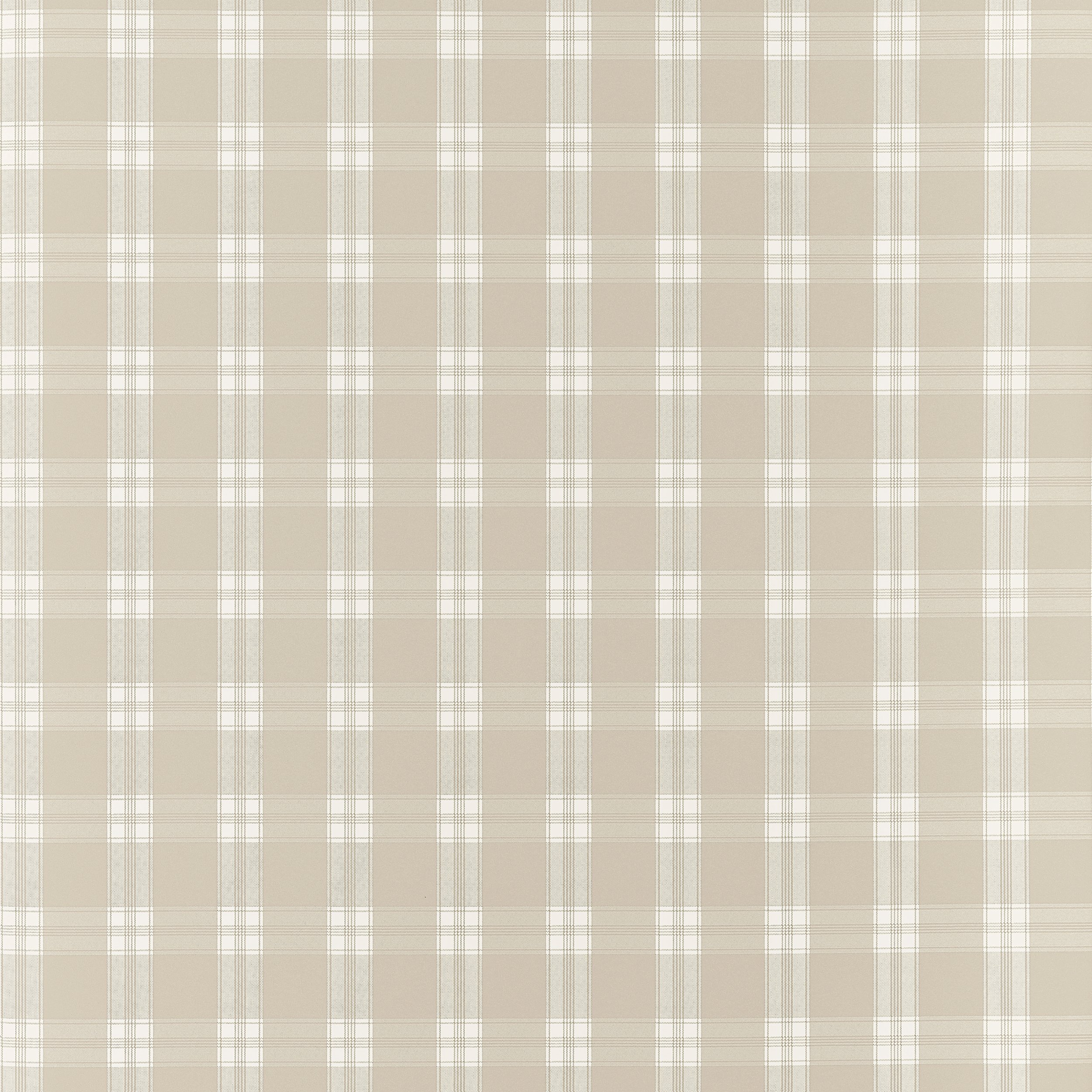 Peyton Check | Beige | Plaid | AT10710