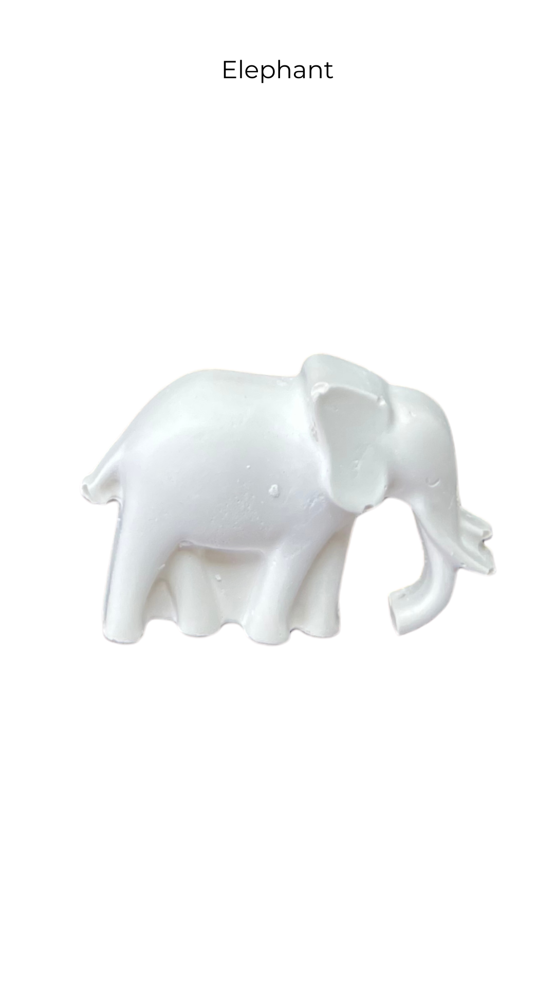Elephant | Animals | ANM-008