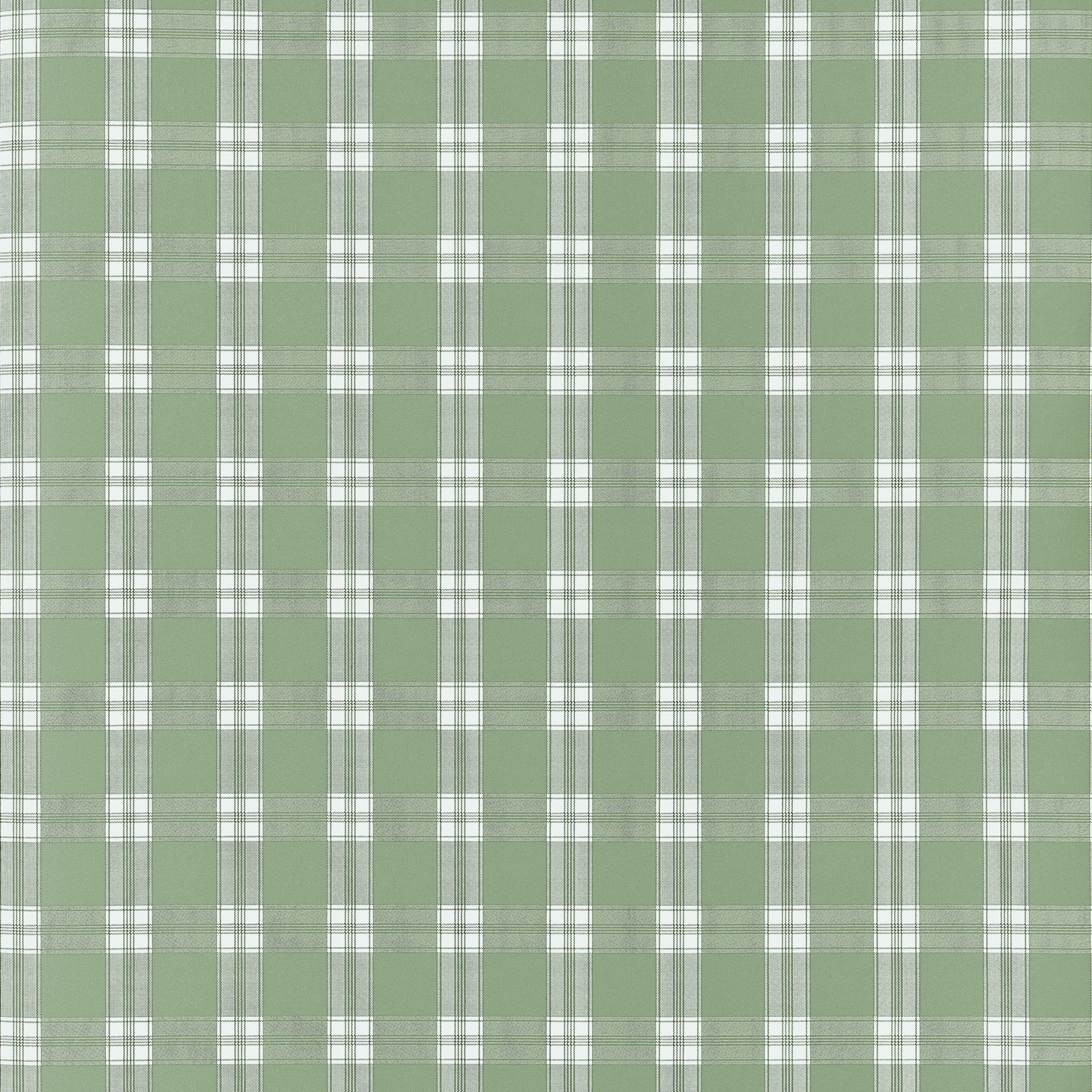 Peyton Check | Green | Plaid | AT10709