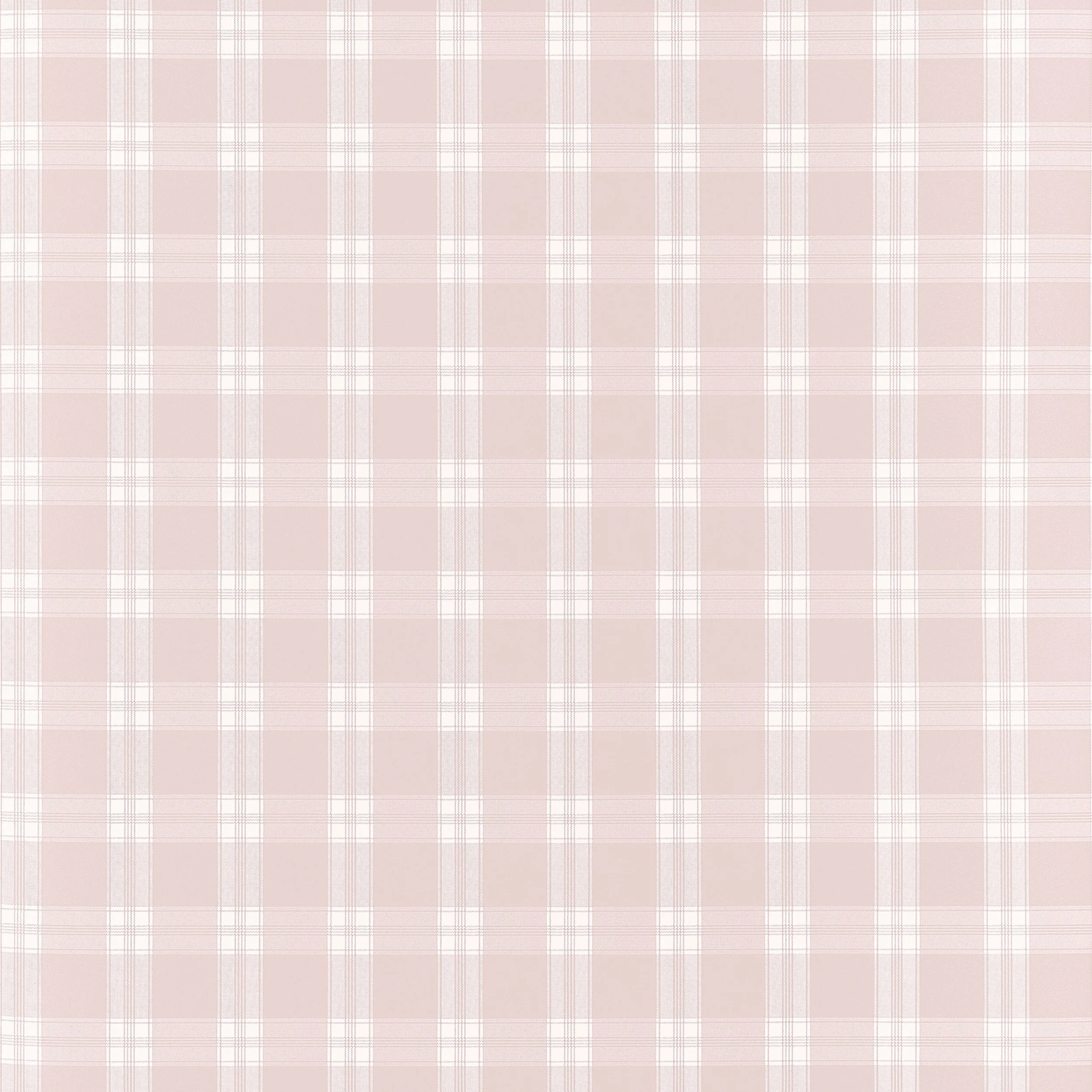 Peyton Check | Pink | Plaid | AT10707