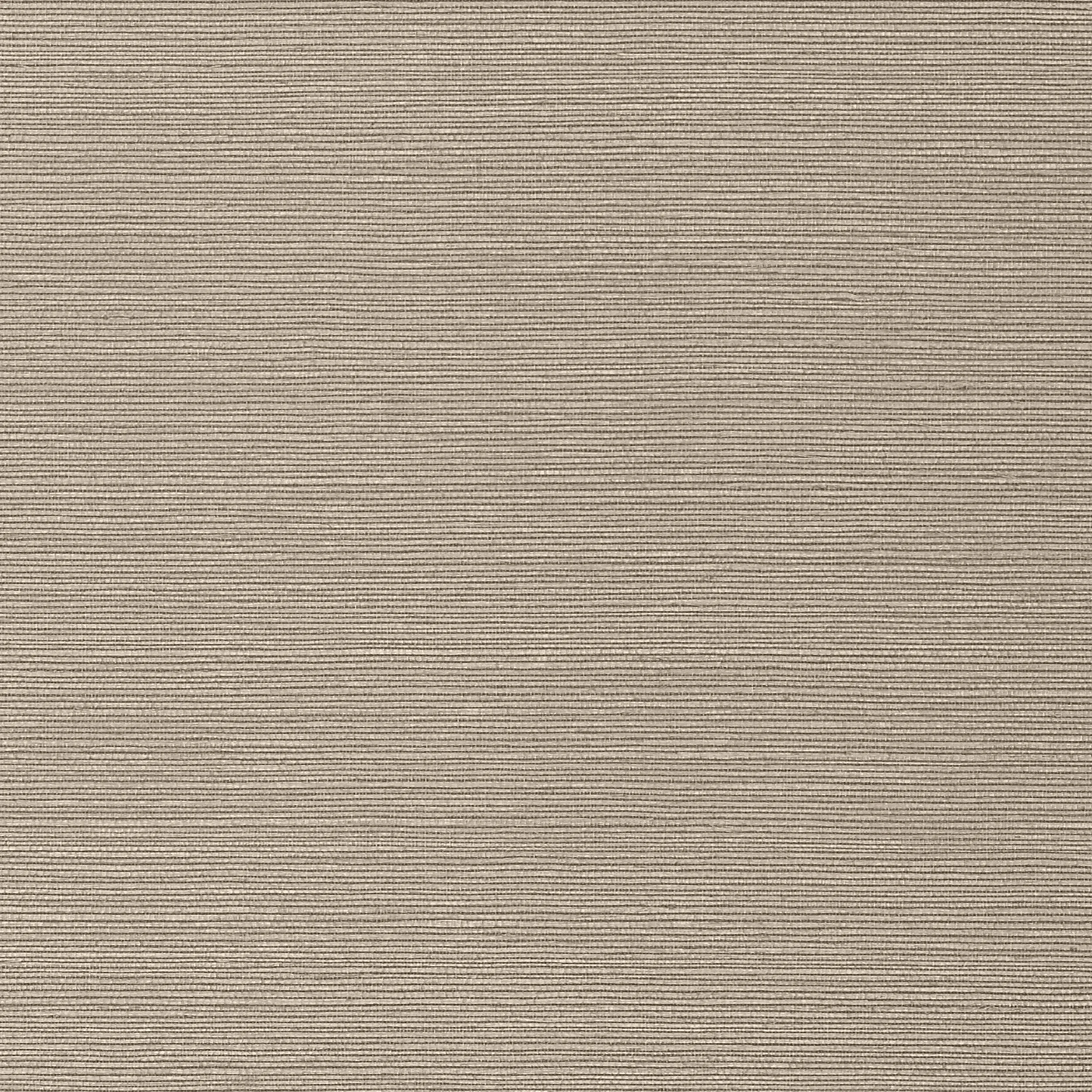 Sisal | Brown | Solid | T75147
