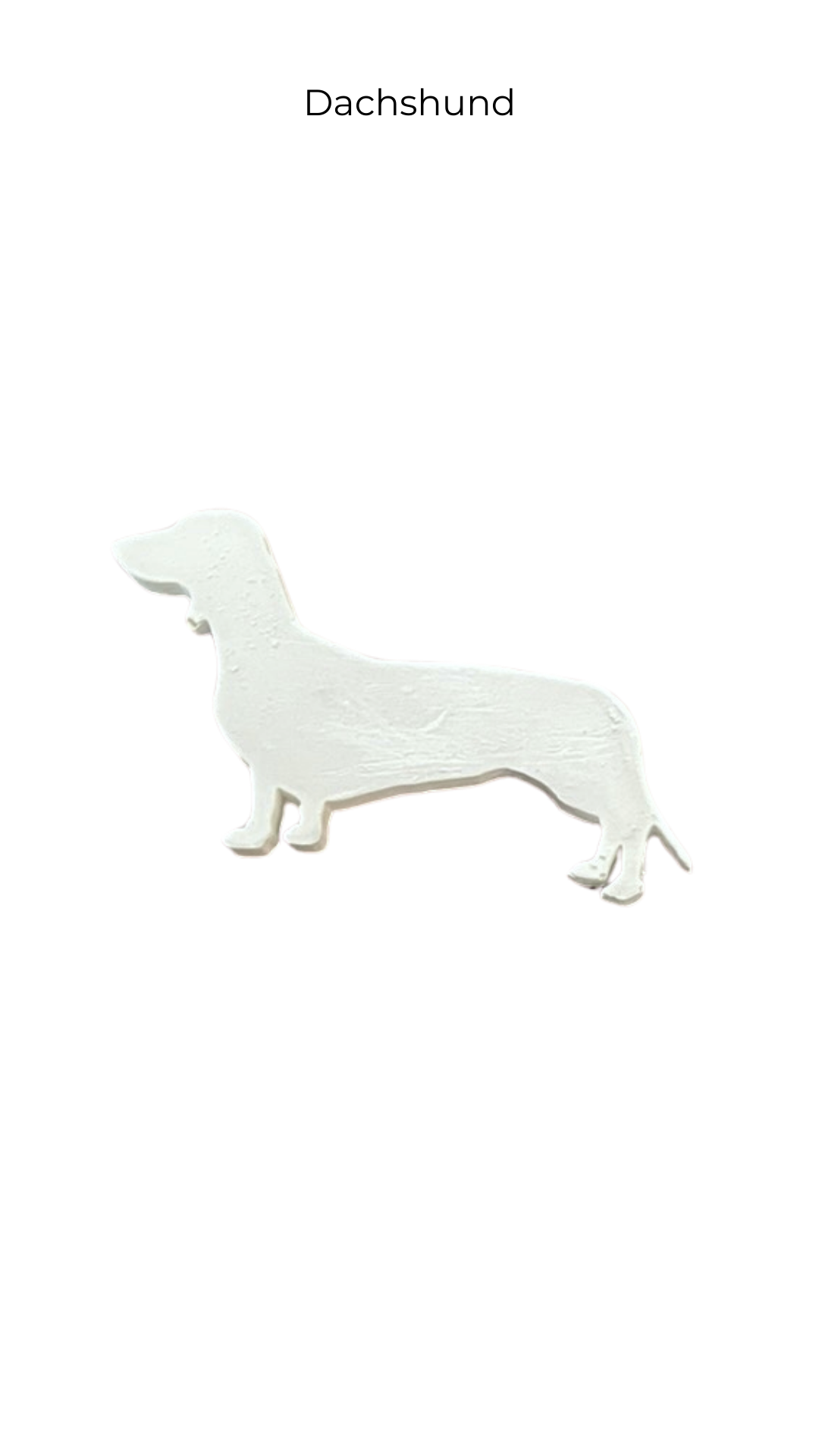Dachshund | Dogs | DOG-004