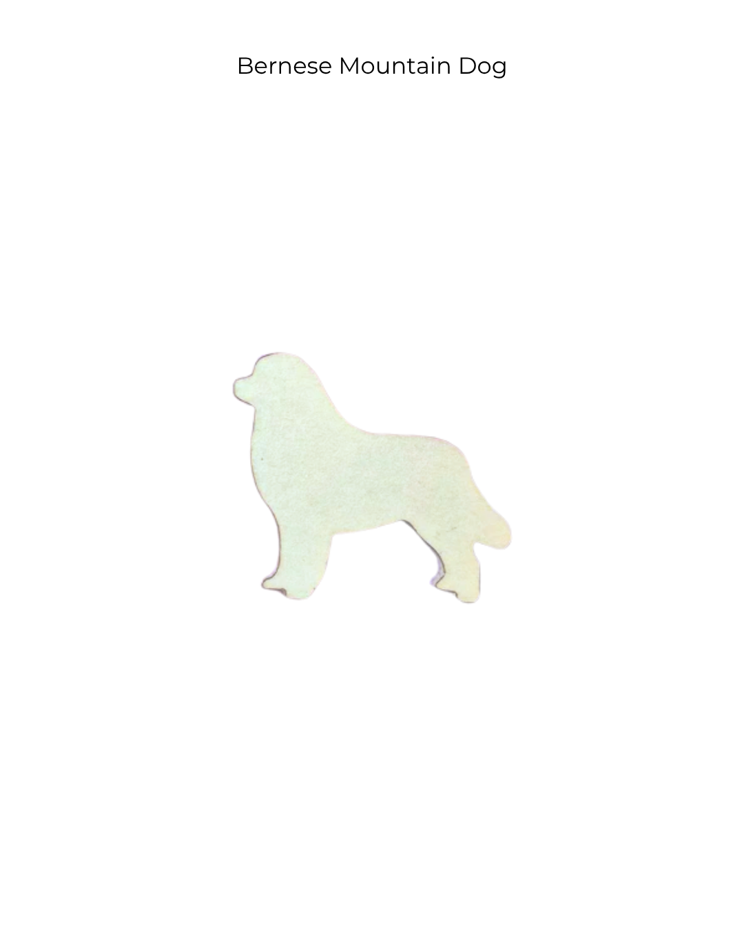 Bernese Mountain Dog | Dogs | DOG-012