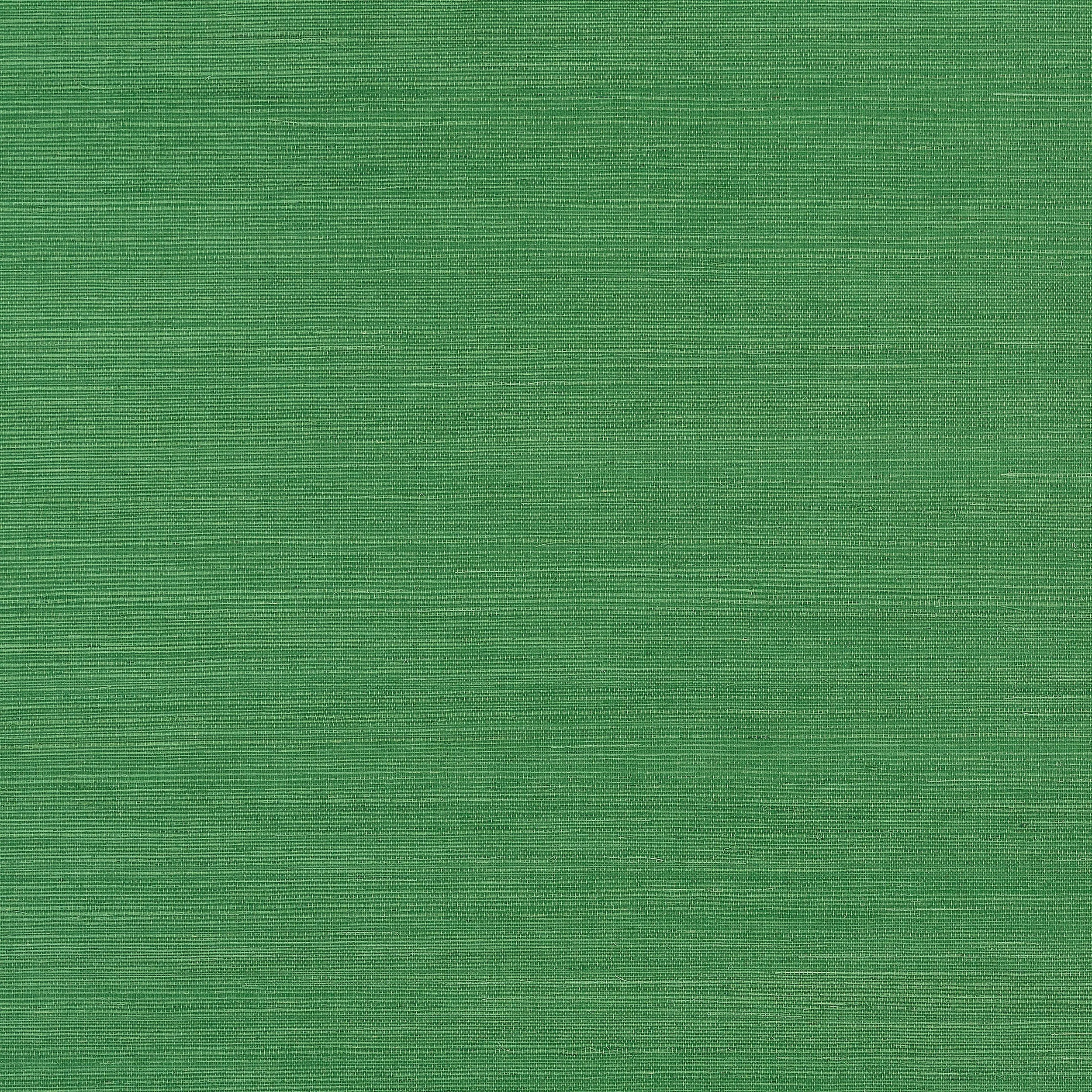 Sisal | Green | Solid | T19612