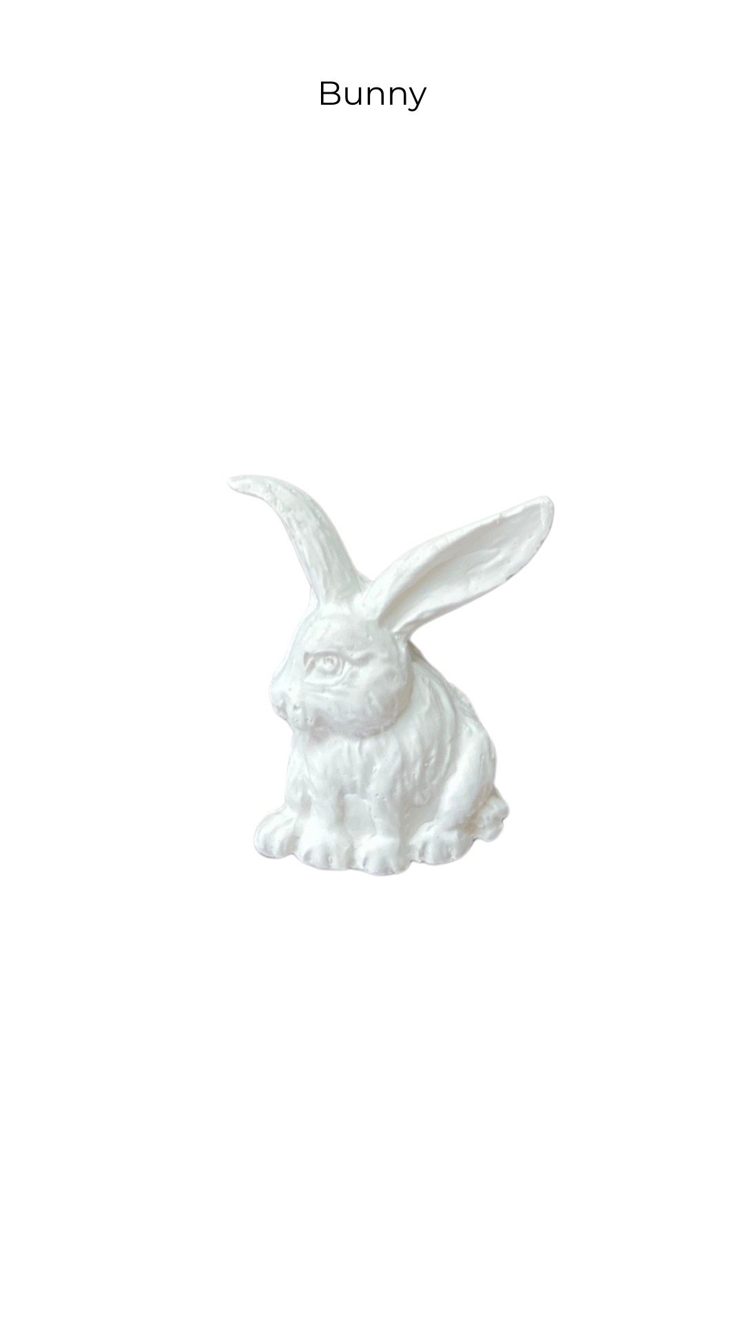 Bunny | Animals | ANM-002