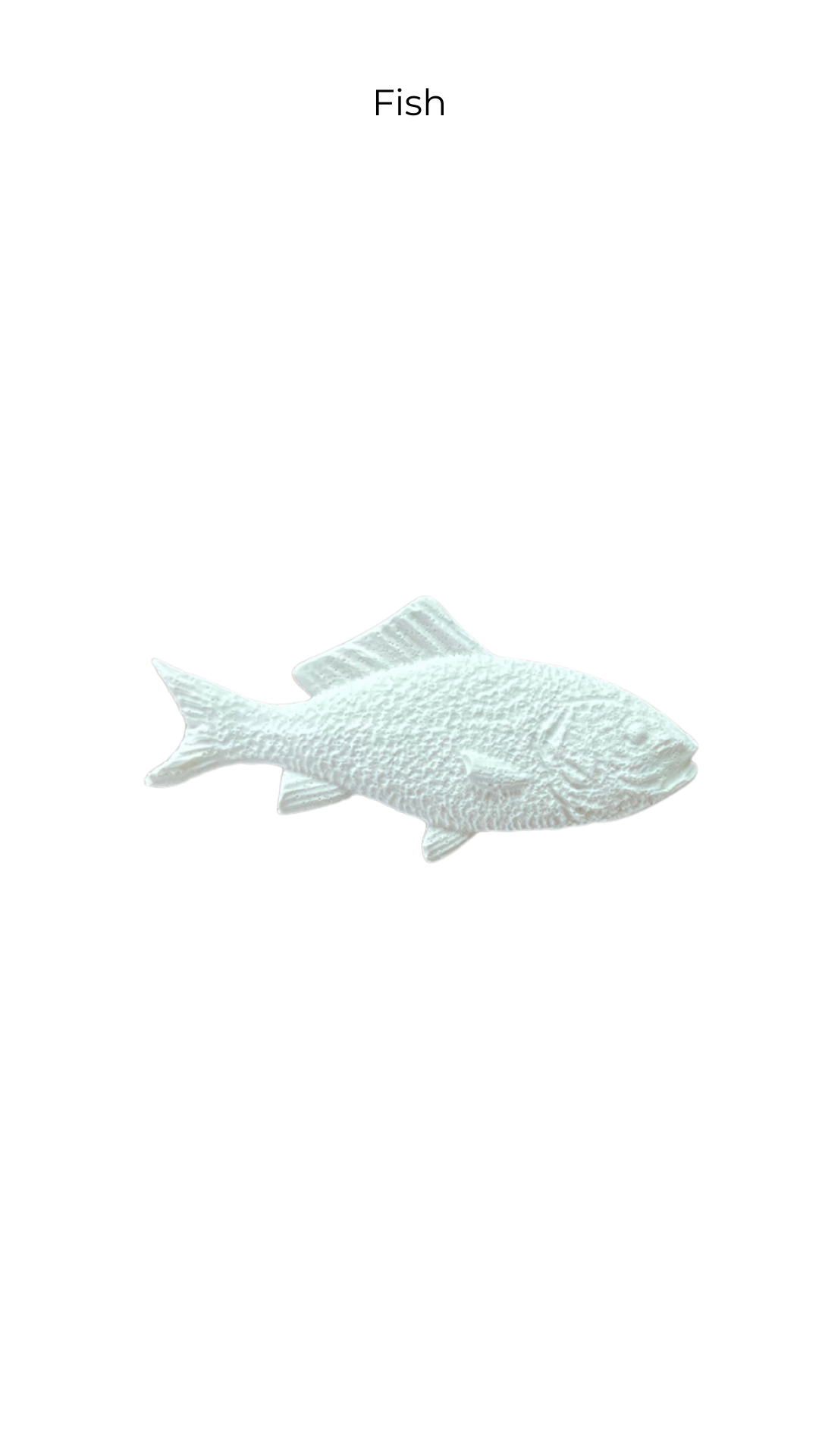 Fish | Animals | ANM-010