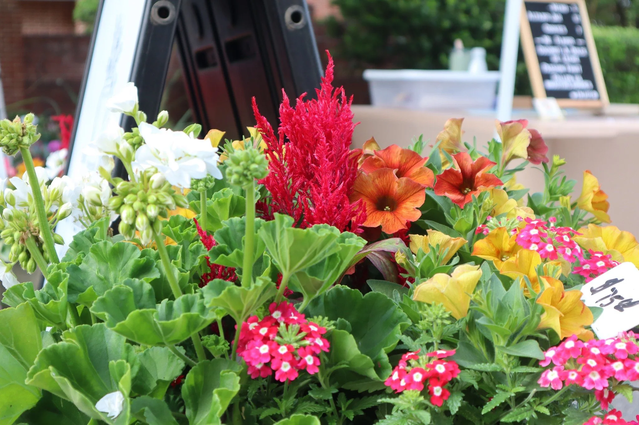 What a beautiful Saturday to was in Downtown Hartsville!

Thank you to everyone who came out to our Downtown Farmers Market this past Saturday and helped make it such a special day. From fresh flowers and handmade goods to local produce, sweet treats