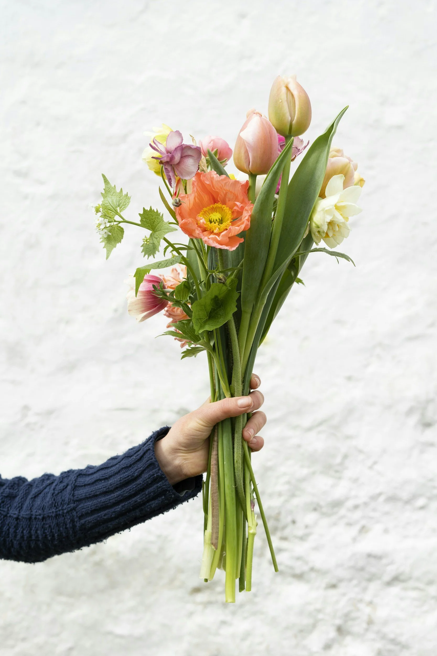 A hand holding a bouquet of various colorful flowers including tulips, poppies, and other floral blooms against a plain, light background.