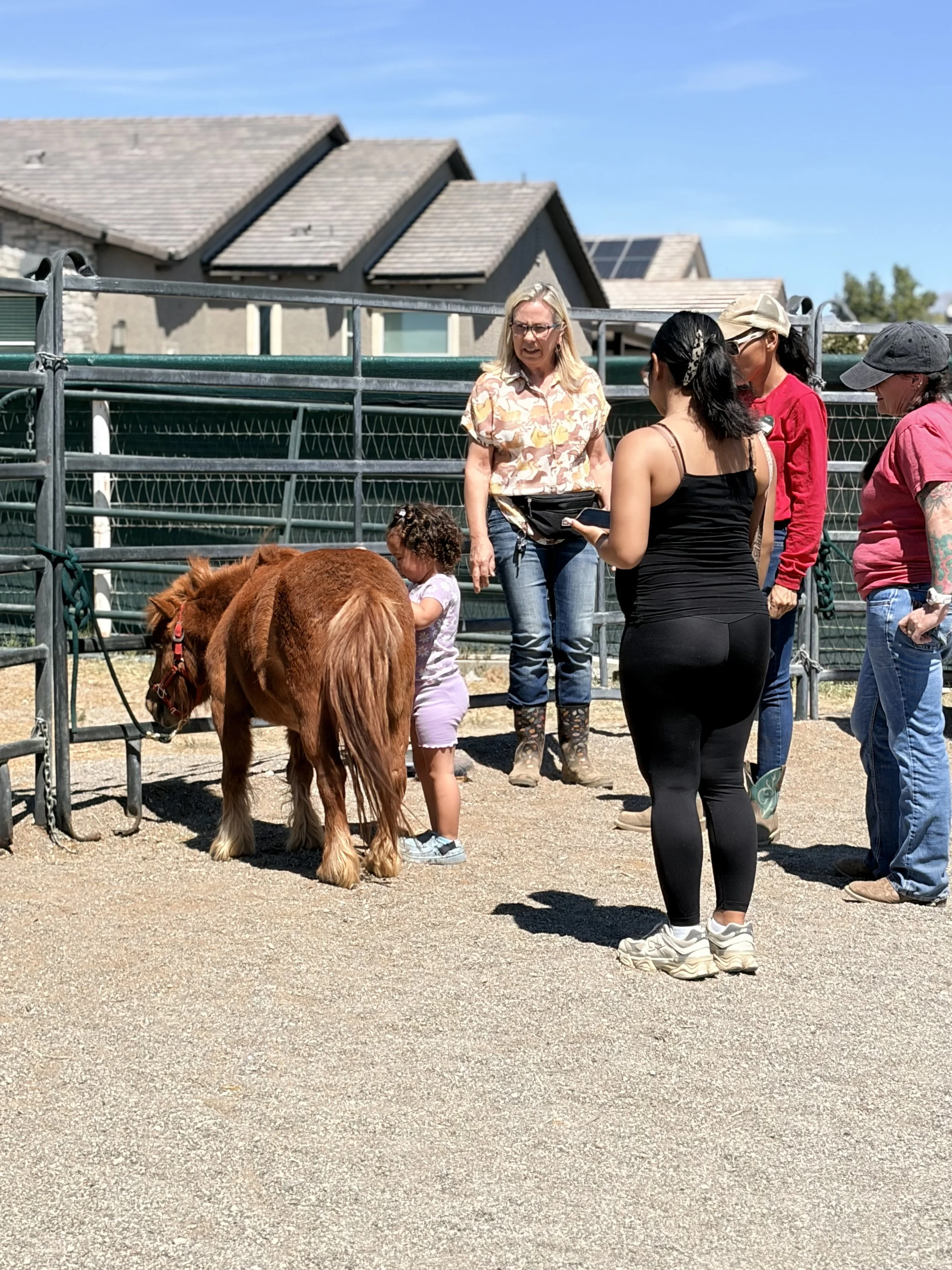 Photo Apr 10 2026, 11 43 32 AM.jpg