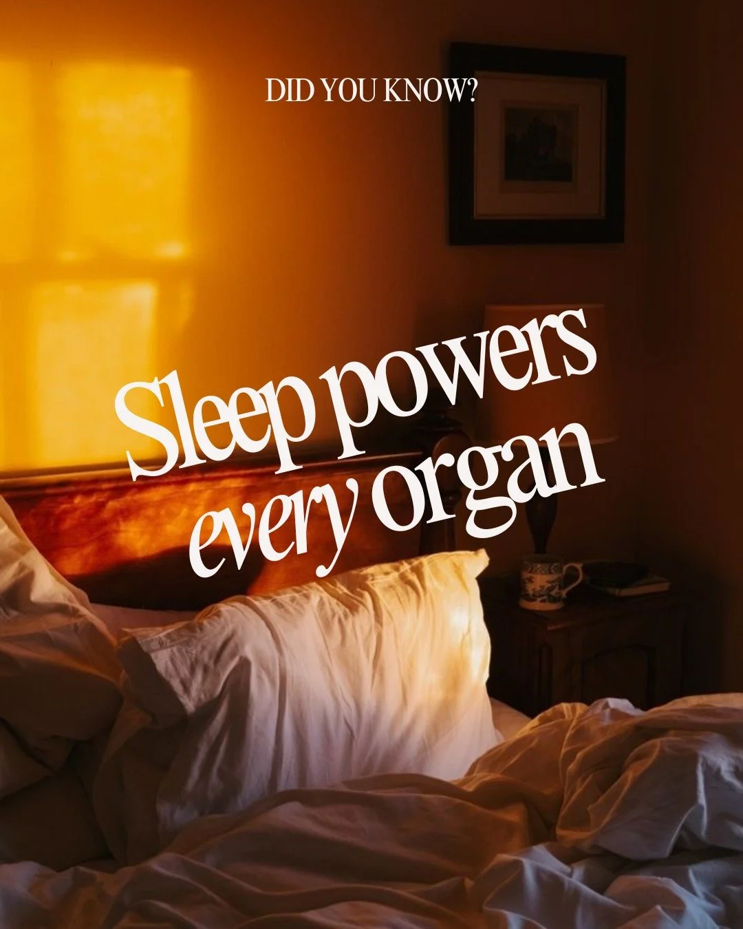 Sleep powers every organ in your body &mdash; and as women, our hormones and nervous systems rely on it to stay balanced and resilient. Still, it&rsquo;s often the first thing we cut when life gets busy.
Let this be your gentle reminder: prioritizing