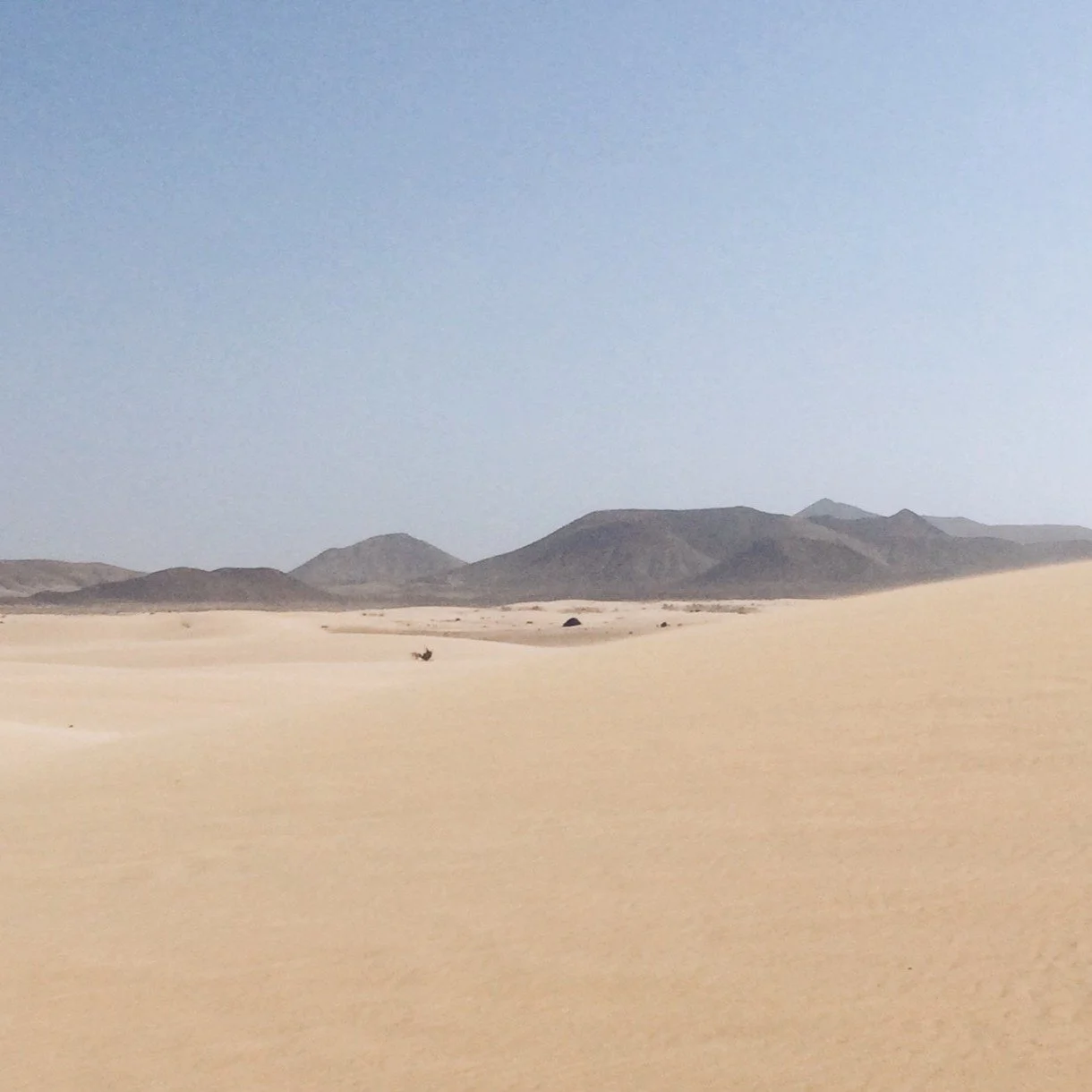 Paisaje desértico con dunas de arena y montañas al fondo bajo un cielo despejado.
