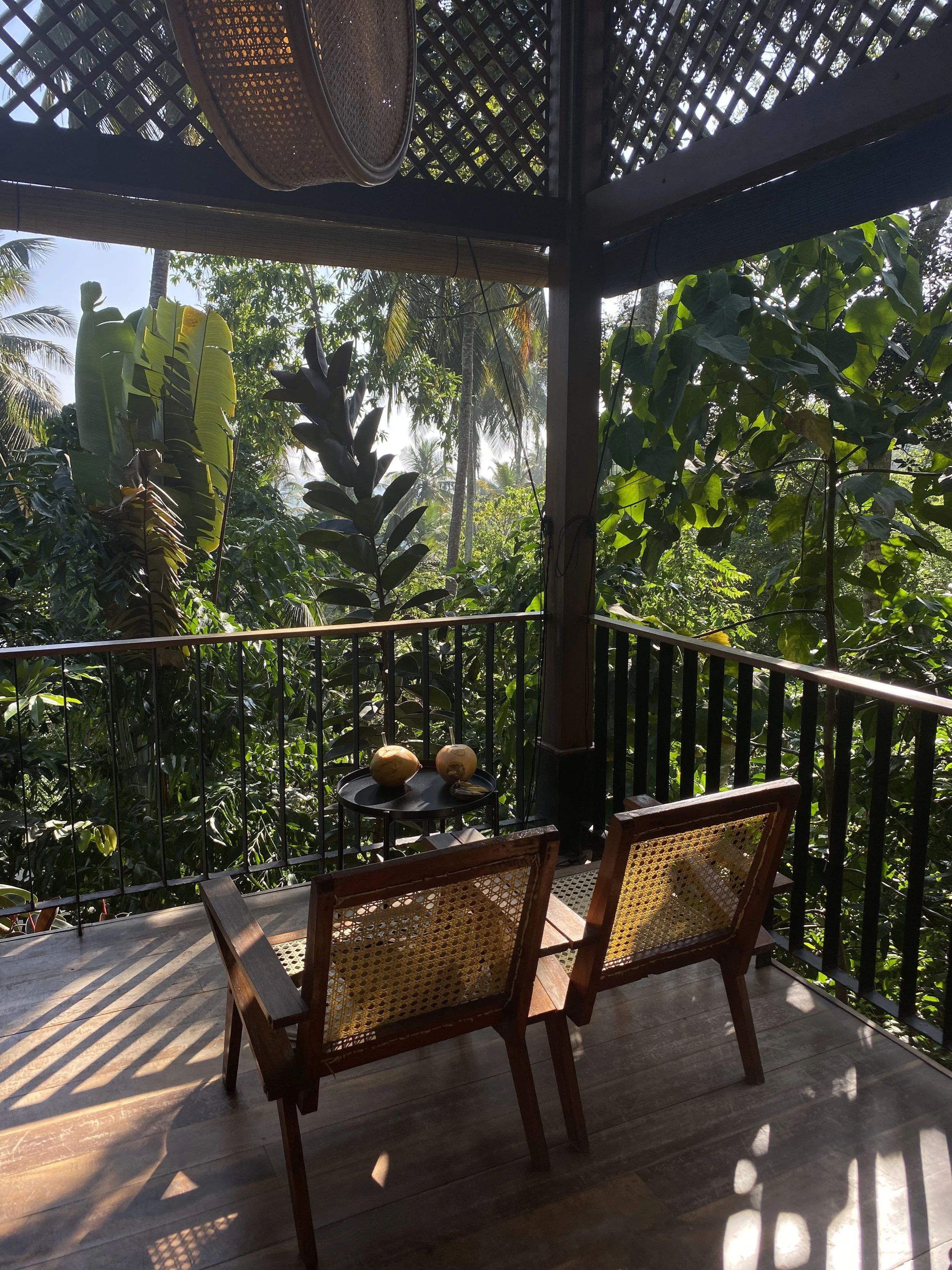 Vista desde una terraza de madera con dos sillas y una mesa pequeña con cocos, rodeada de vegetación tropical y palmeras, con sombra y luz solar filtrándose.