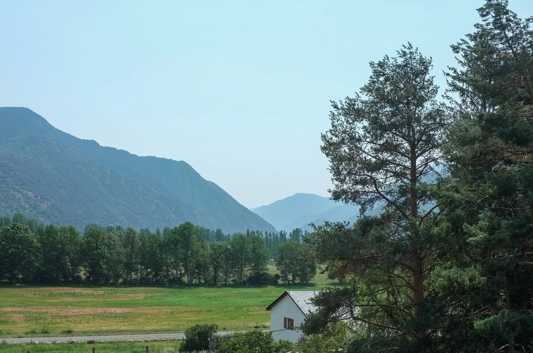 Paisaje montañoso con árboles y una casa pequeña con techo de lámina, en un entorno rural.