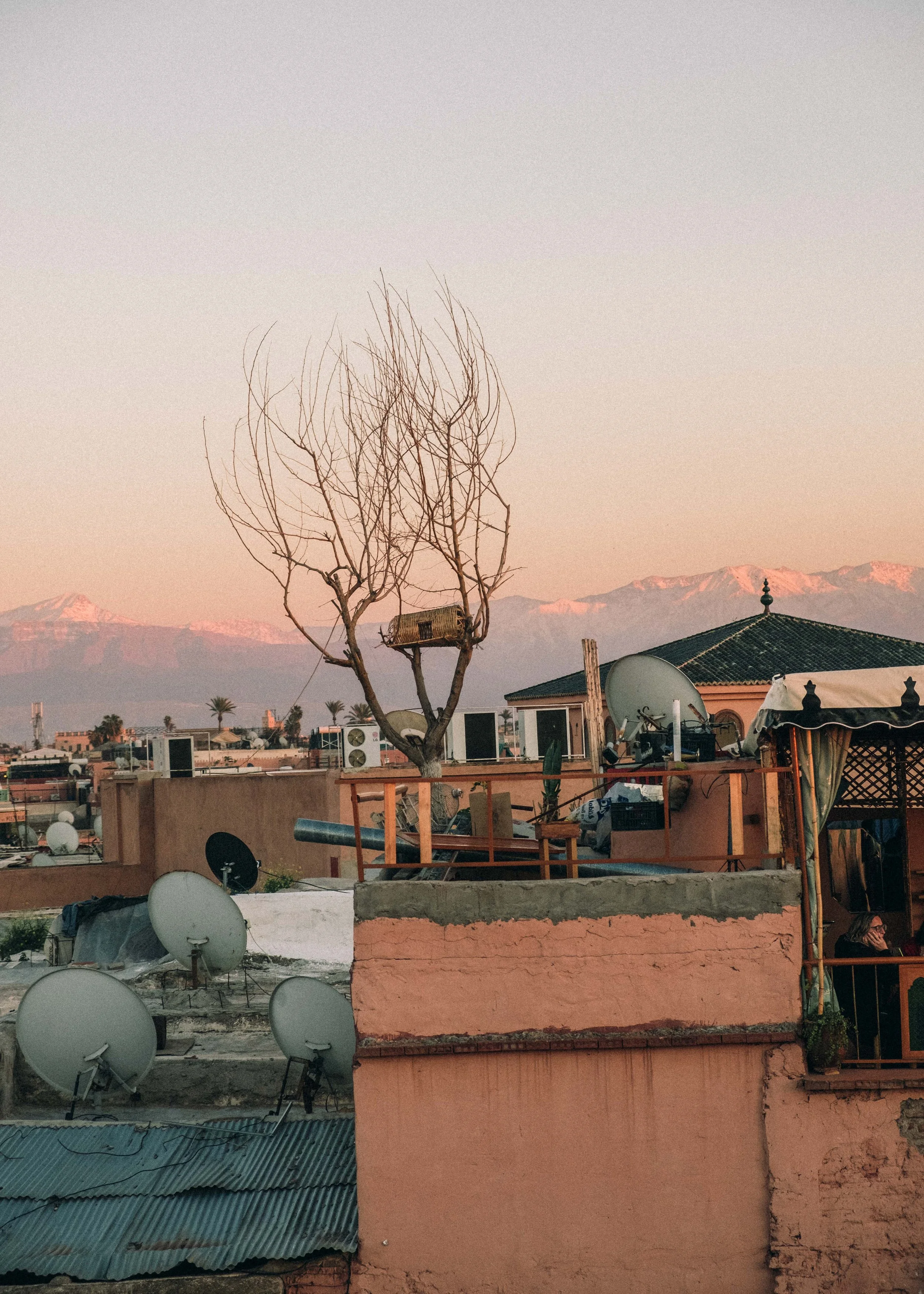 Imagen de un tejado con antenas parabólicas, un árbol sin hojas y montañas cubiertas de nieve en el fondo al atardecer.