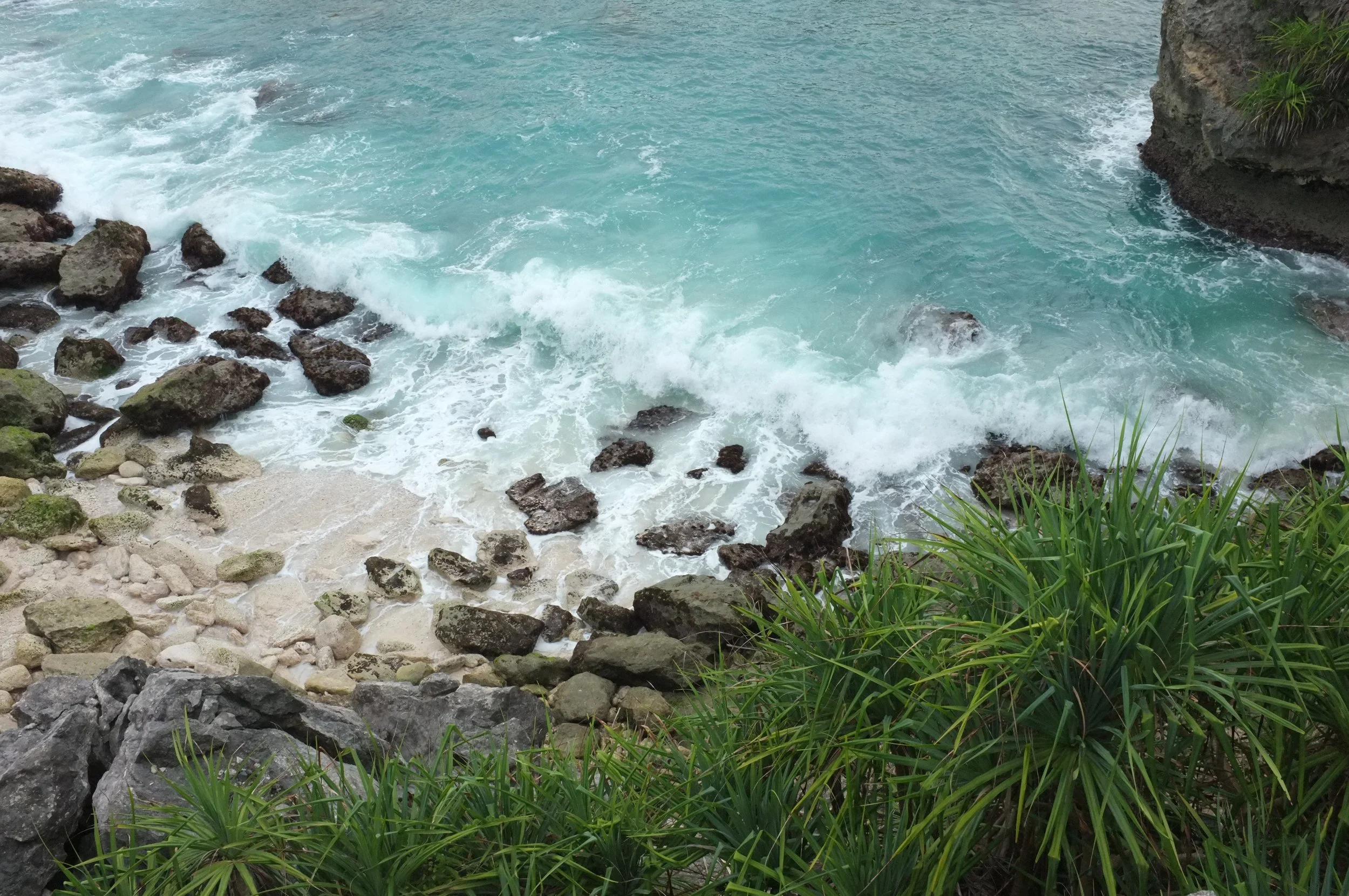 Costa rocosa con agua cristalina y vegetación verde en la orilla del mar