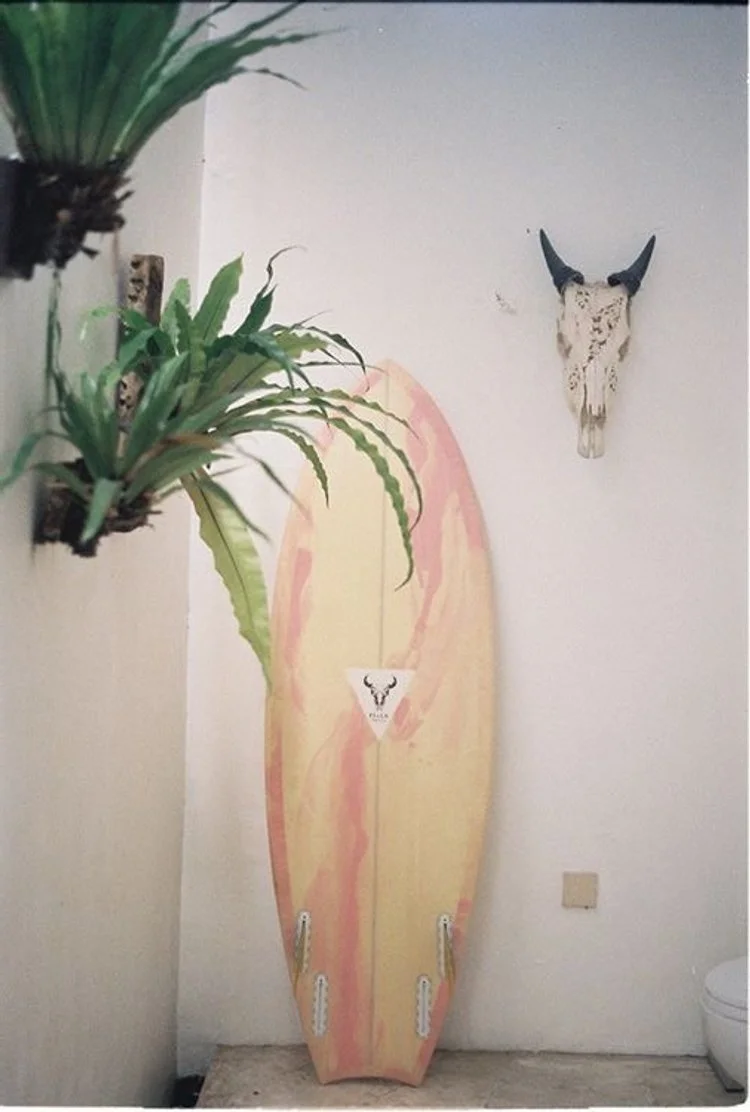 Tabla de surfing decorada con colores pastel en una esquina de la habitación, con una cabeza de animal con cuernos en la pared y plantas verdes al lado.