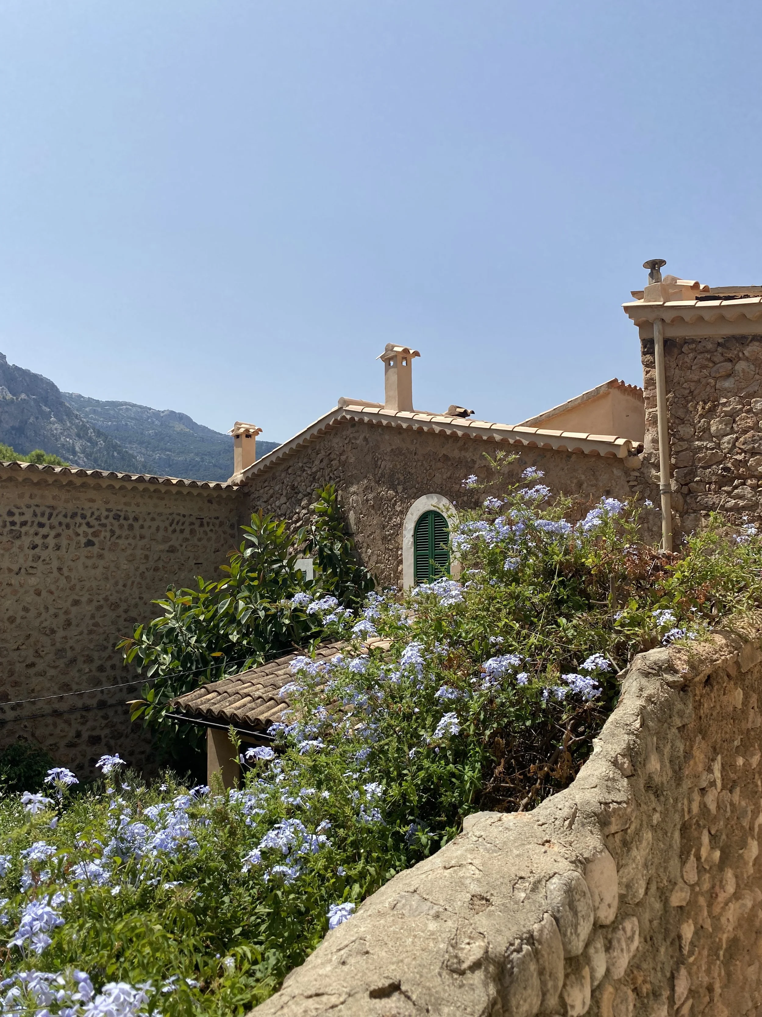 Casas de piedra con techos de tejas y chimeneas, rodeadas de plantas con flores violetas, en un paisaje de montaña bajo un cielo claro.