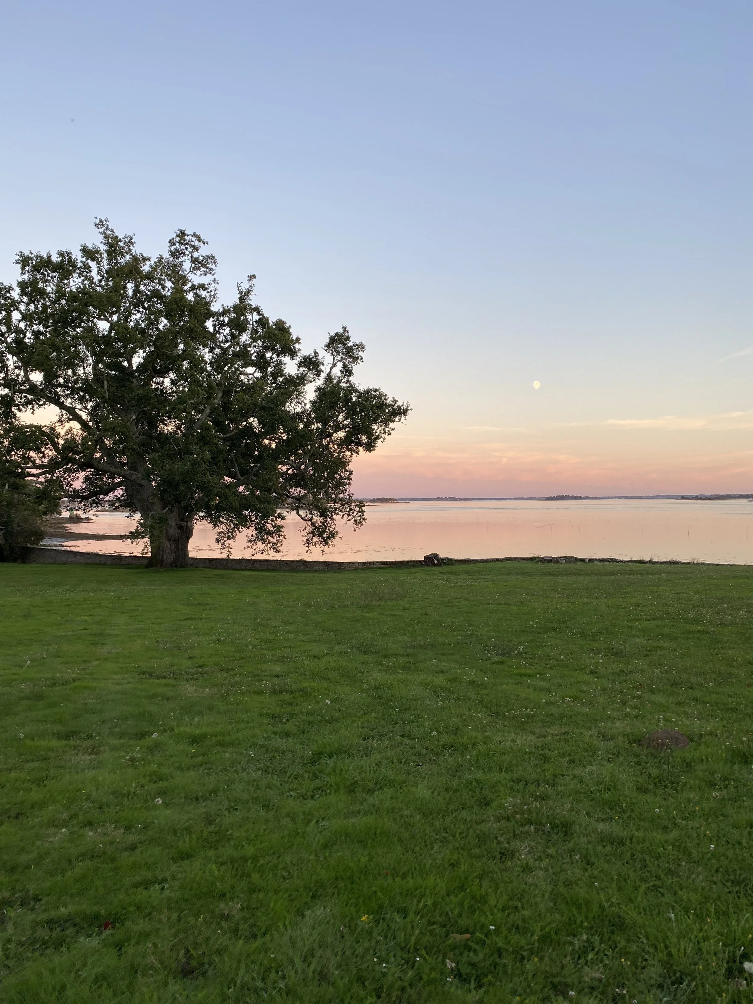 Paisaje con árbol grande y frondoso a la orilla de un río o lago, césped verde en primer plano, cielo despejado con algunos tonos rosados y naranjas del atardecer, y la luna visible en el cielo.