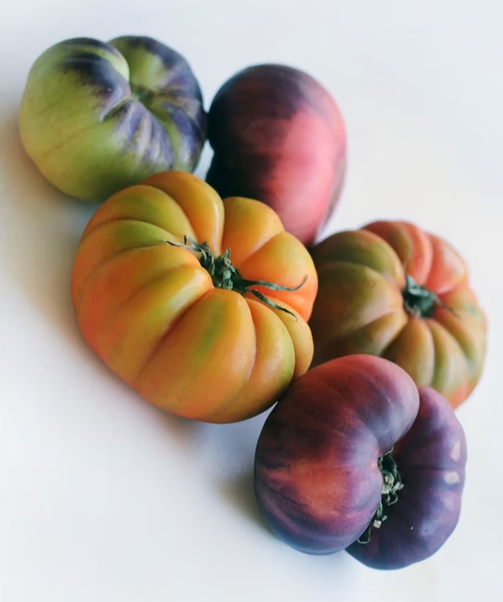 Variedad de tomates de diferentes colores y tamaños sobre fondo blanco.