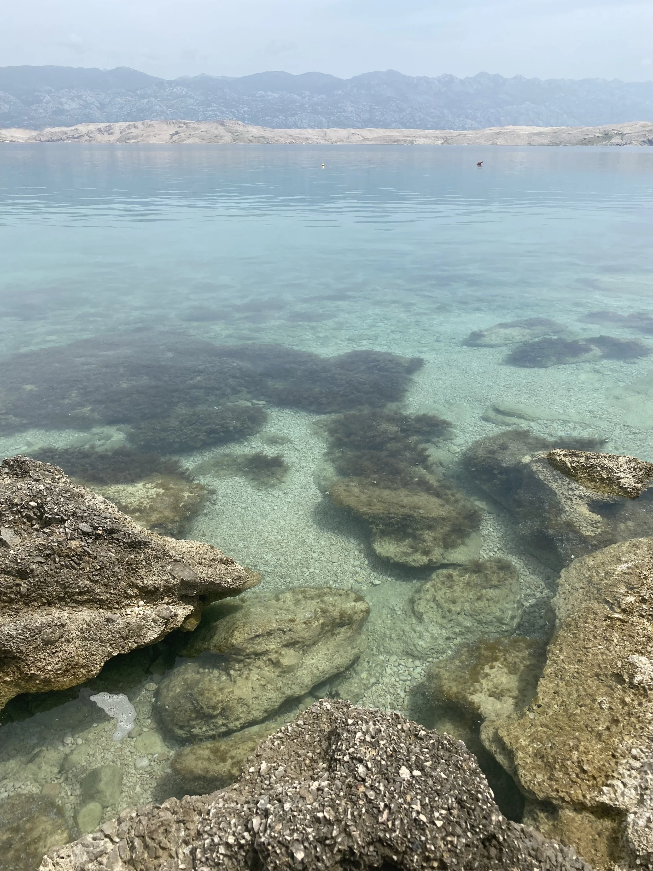 Agua clara con piedras y rocas en la orilla de un lago, con montañas de fondo y un cielo nublado.