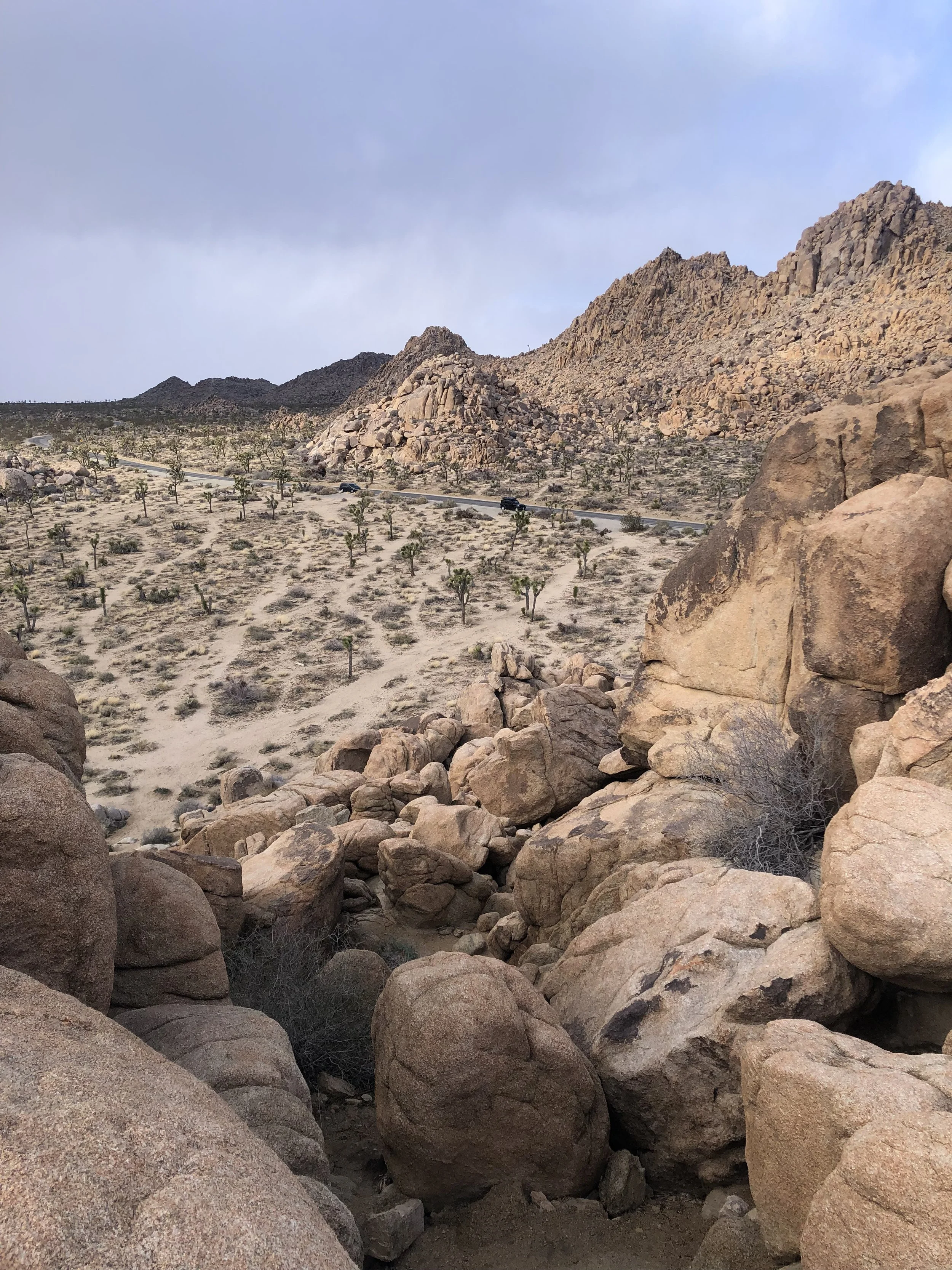 Desert landscape with large rocks in foreground, scattered trees, and mountains in background with cloudy sky.