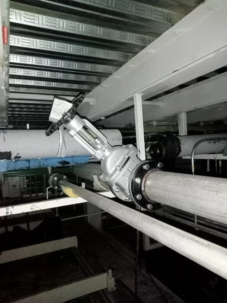 WhatsApp Image 2025-07-04 at 8.52.25 AM.jpeg