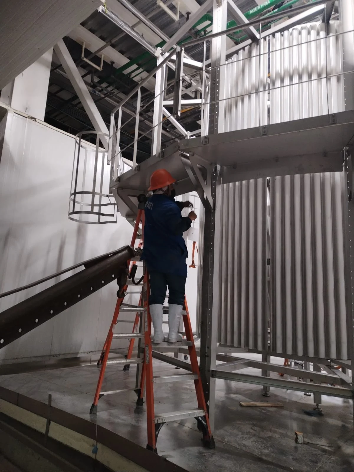 WhatsApp Image 2025-07-04 at 8.52.46 AM.jpeg