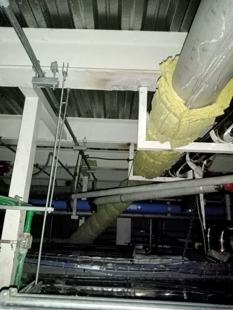 WhatsApp Image 2025-07-04 at 8.52.26 AM (1).jpeg