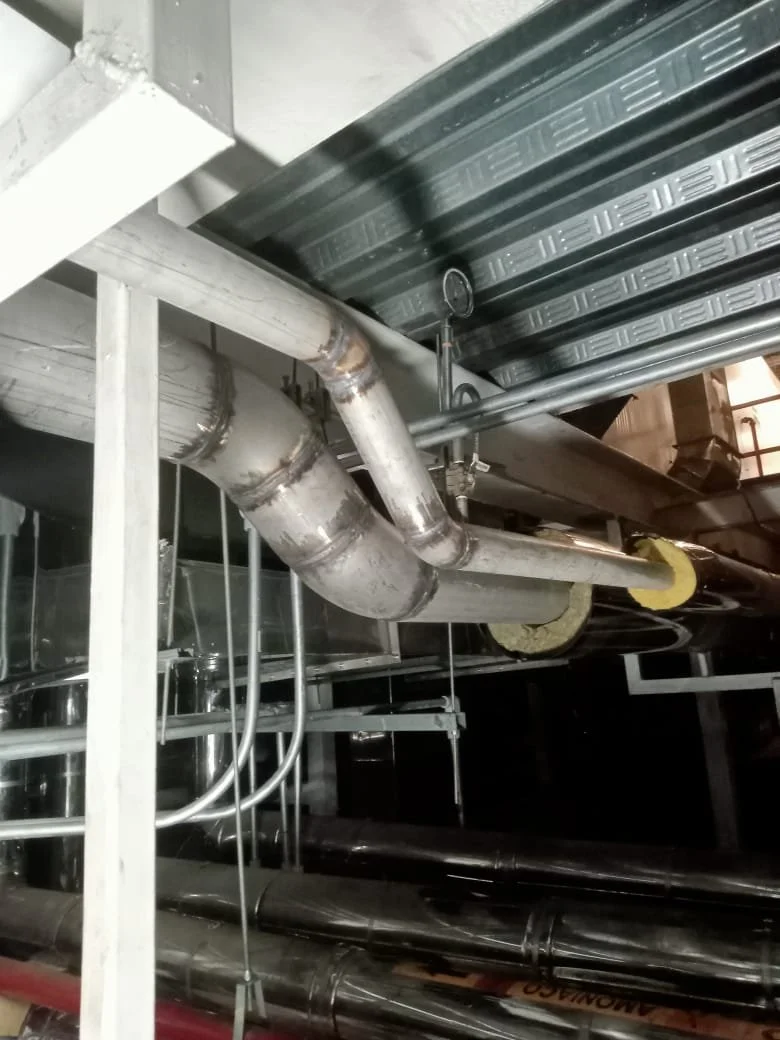 WhatsApp Image 2025-07-04 at 8.52.26 AM.jpeg