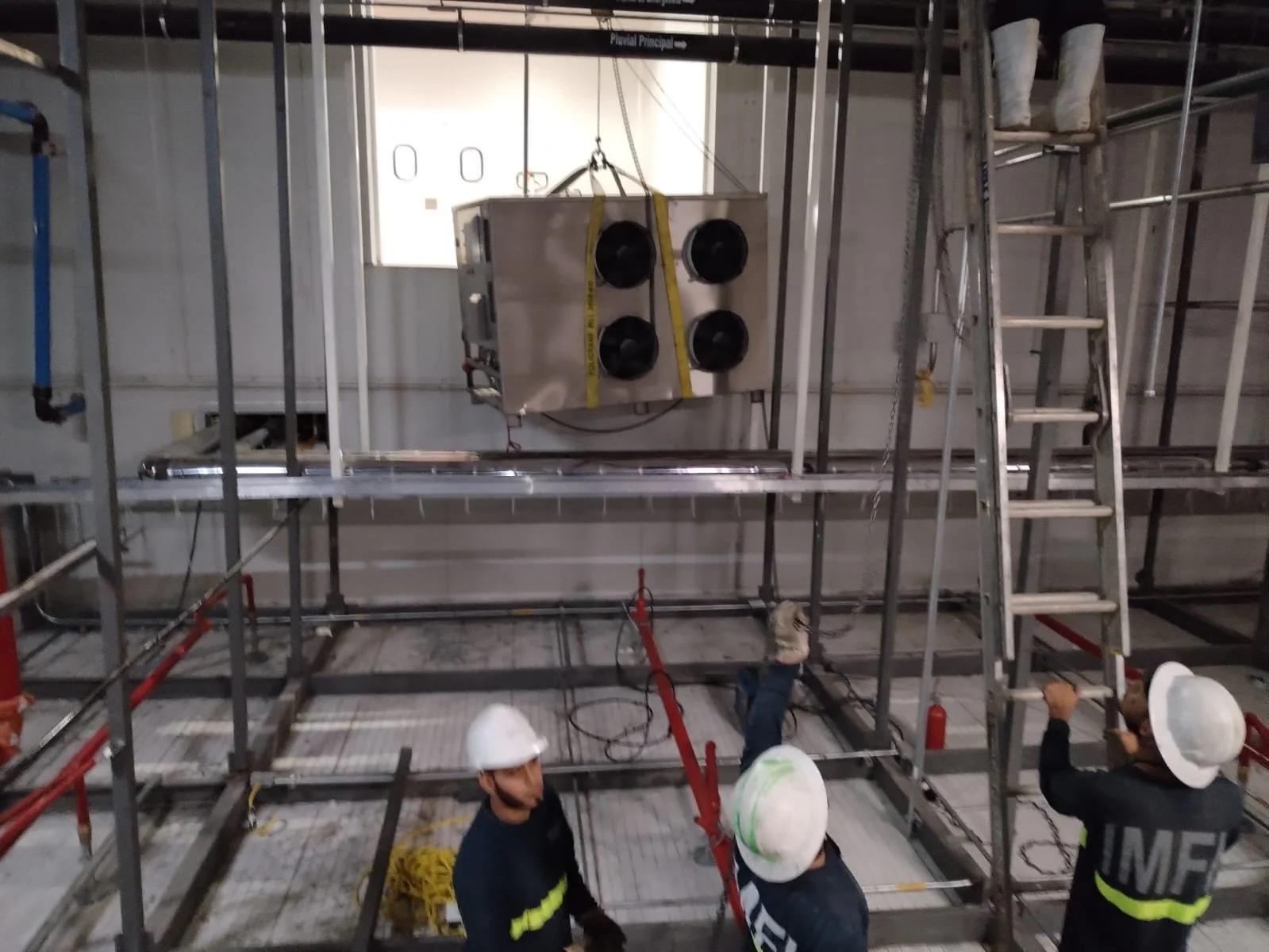 WhatsApp Image 2025-07-04 at 8.52.48 AM.jpeg