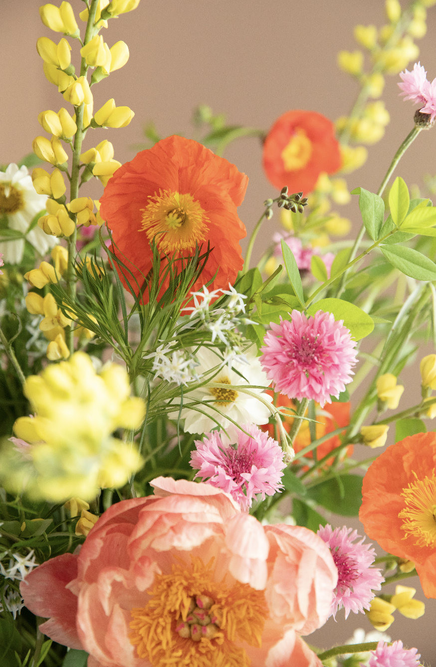 Screen Shot 2026-04-24 at 4.36.05 PM.png