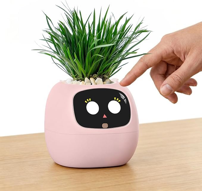 plantsioaideskacessoryplanter.jpg