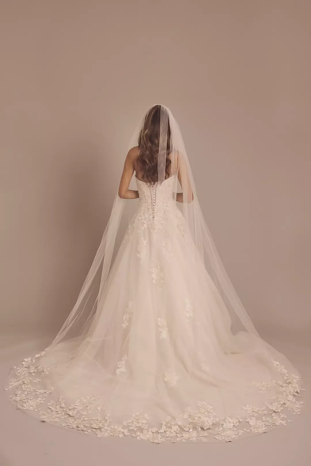 Back view of a bride in a lace wedding gown with a long train and veil.