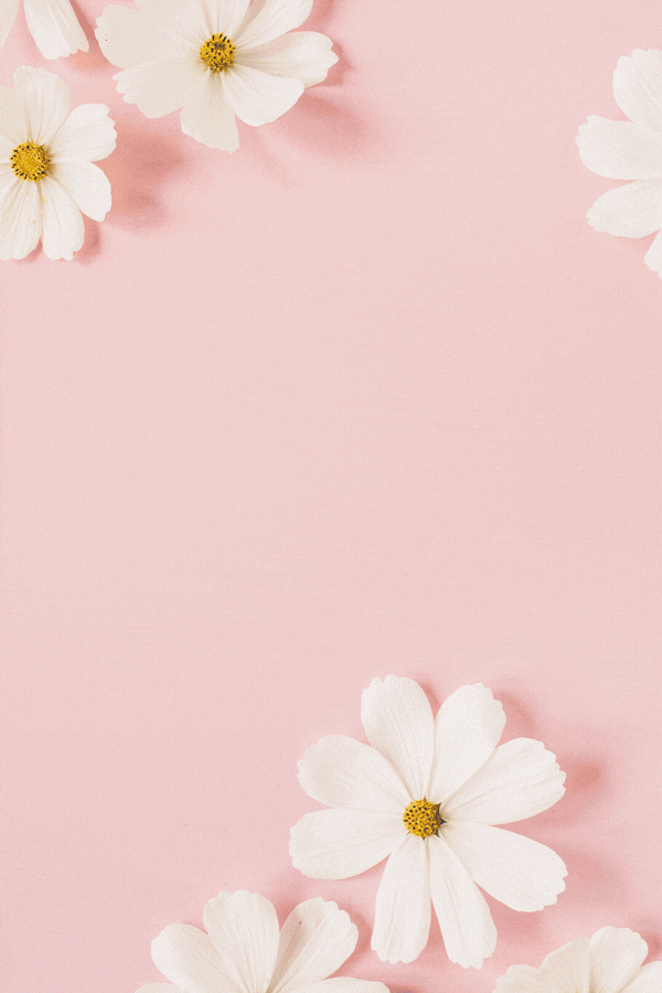 5.gif