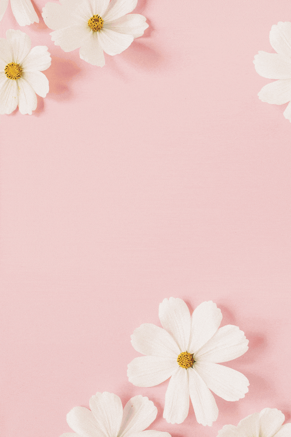 13.gif