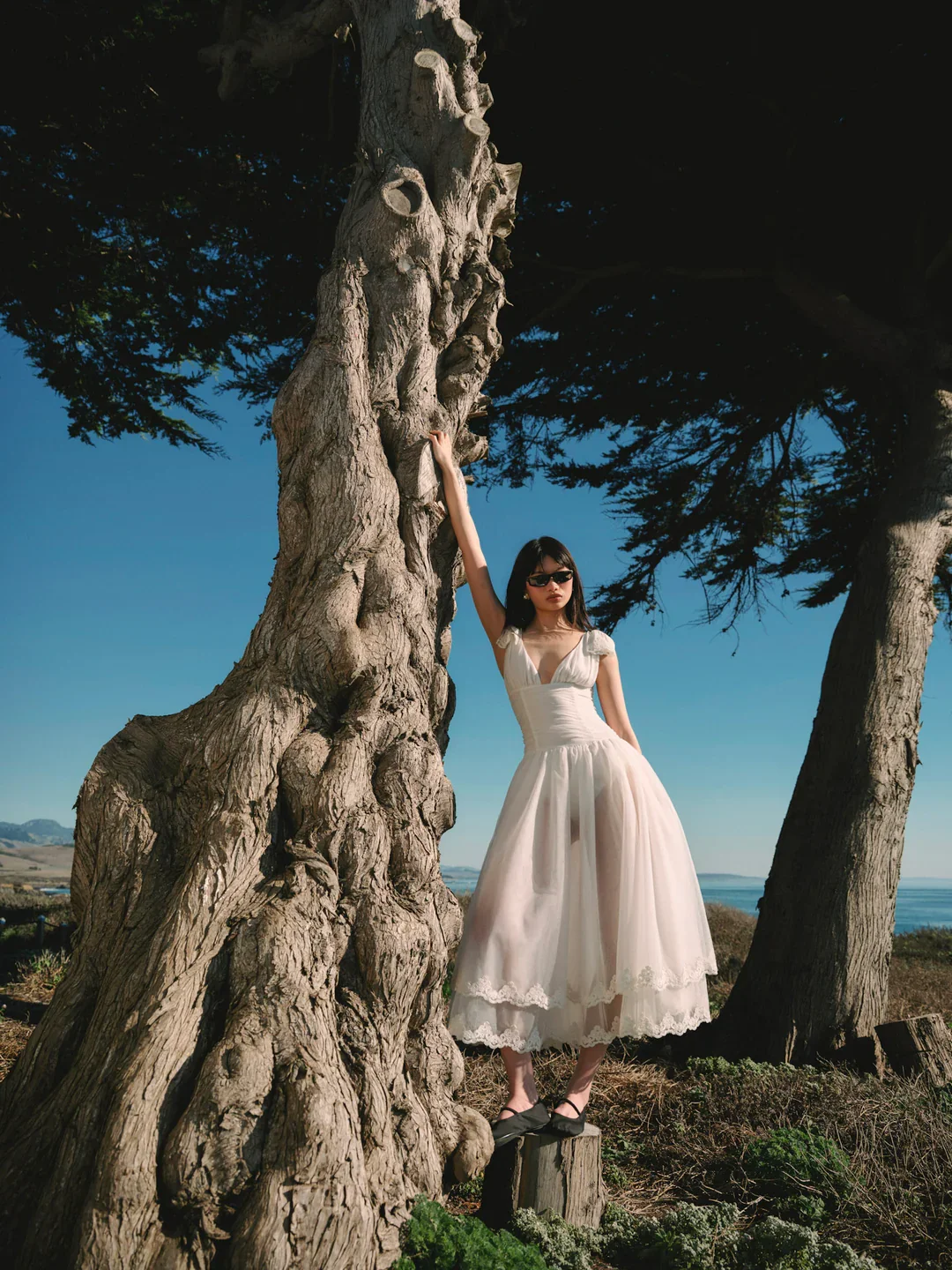 A woman in a white dress and sunglasses standing next to a large twisted tree on a coastal landscape.