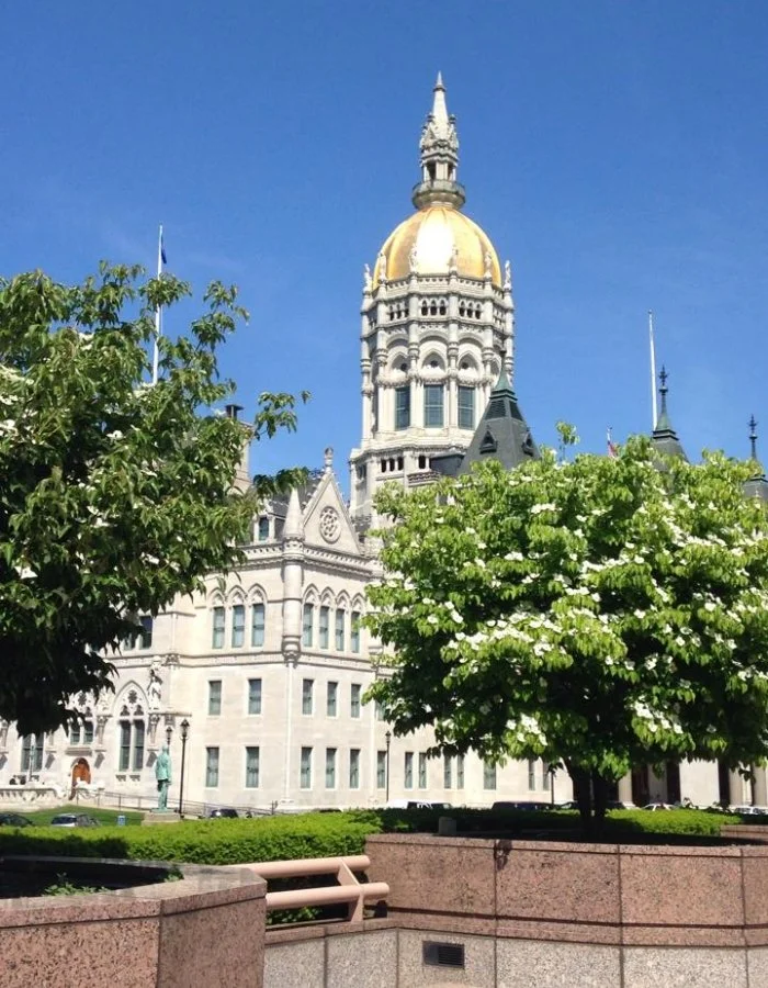 Refresher/Update Connecticut Paid Leave Law - Zoom