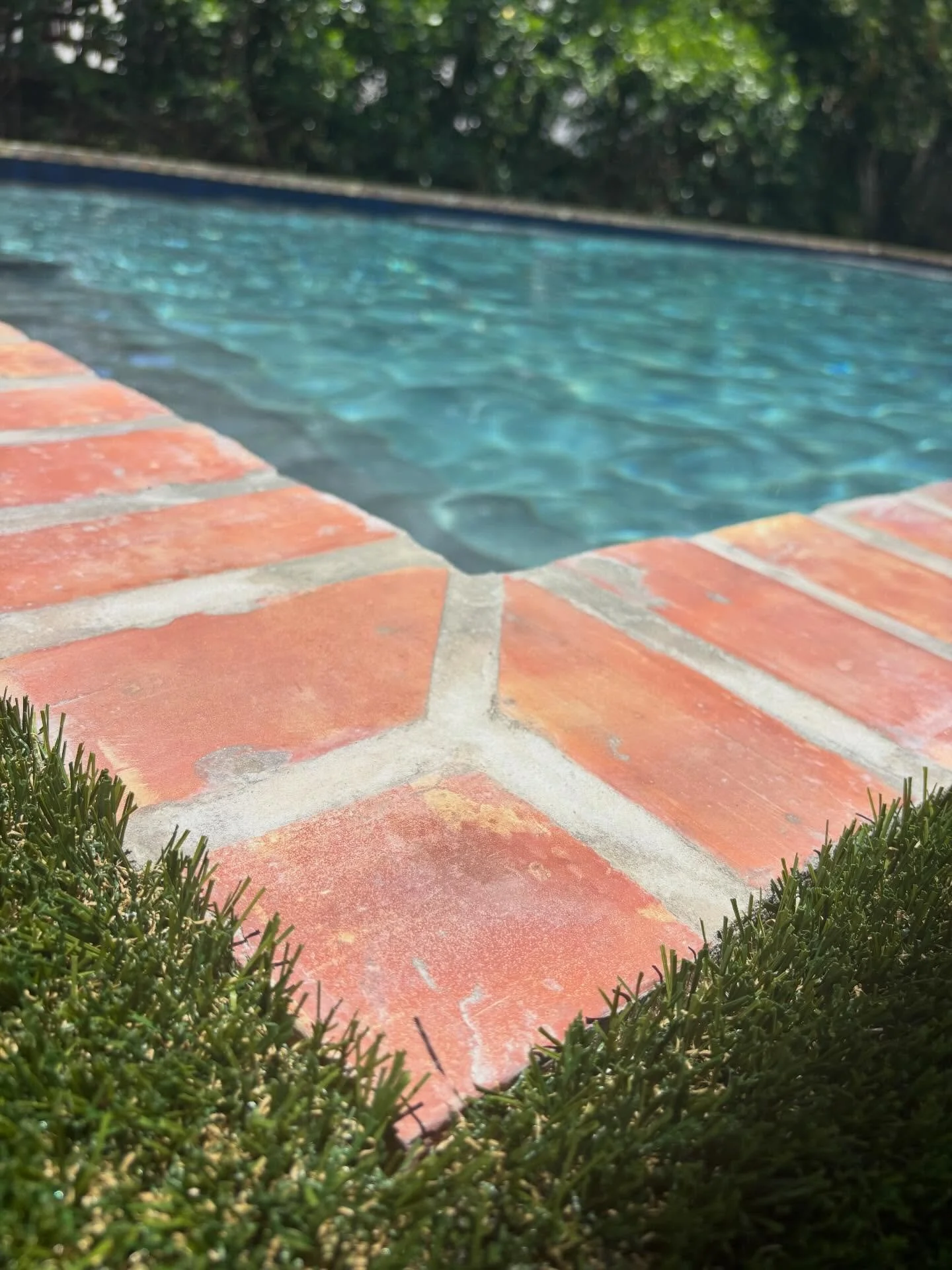 Warning‼️: This upload may have you planning your dream backyard before the day is over! ☀️🏊&zwj;♂️