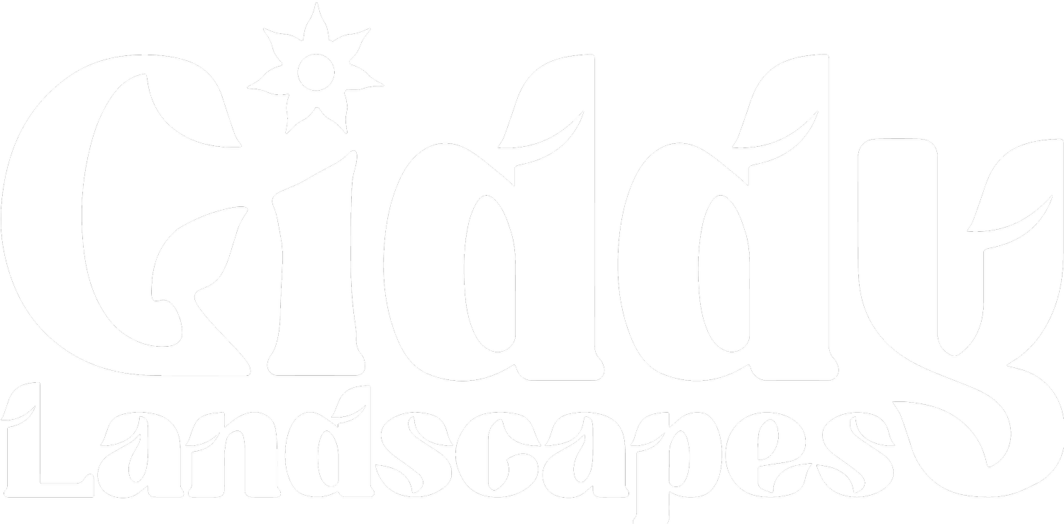 Giddy Landscapes