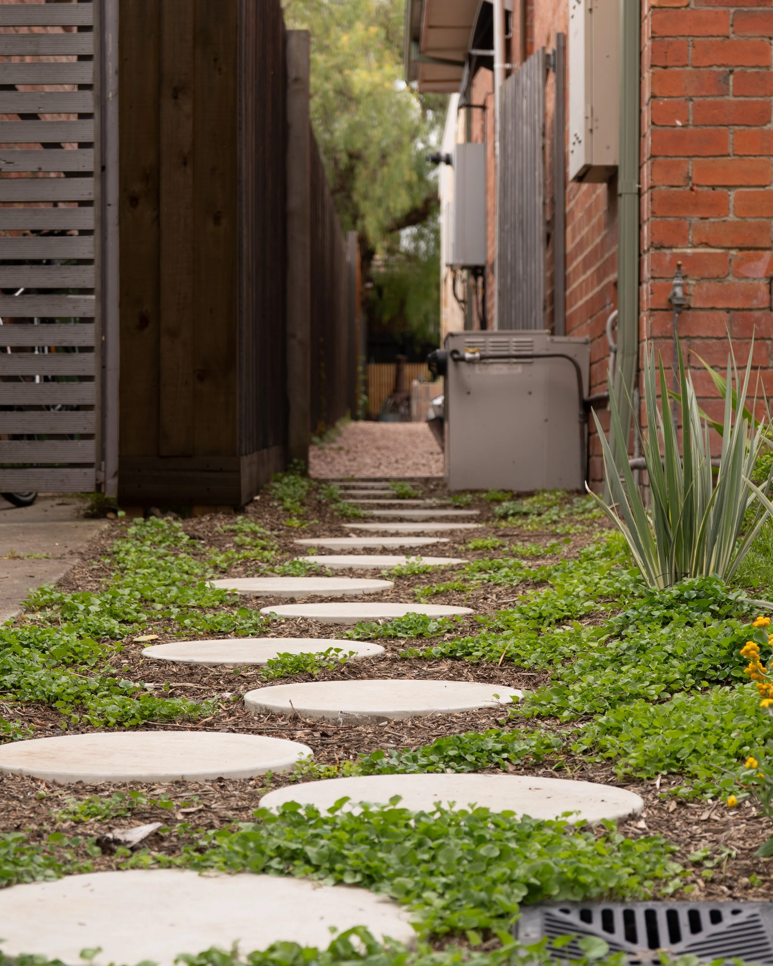 Giddy 12 Front Yard.jpg