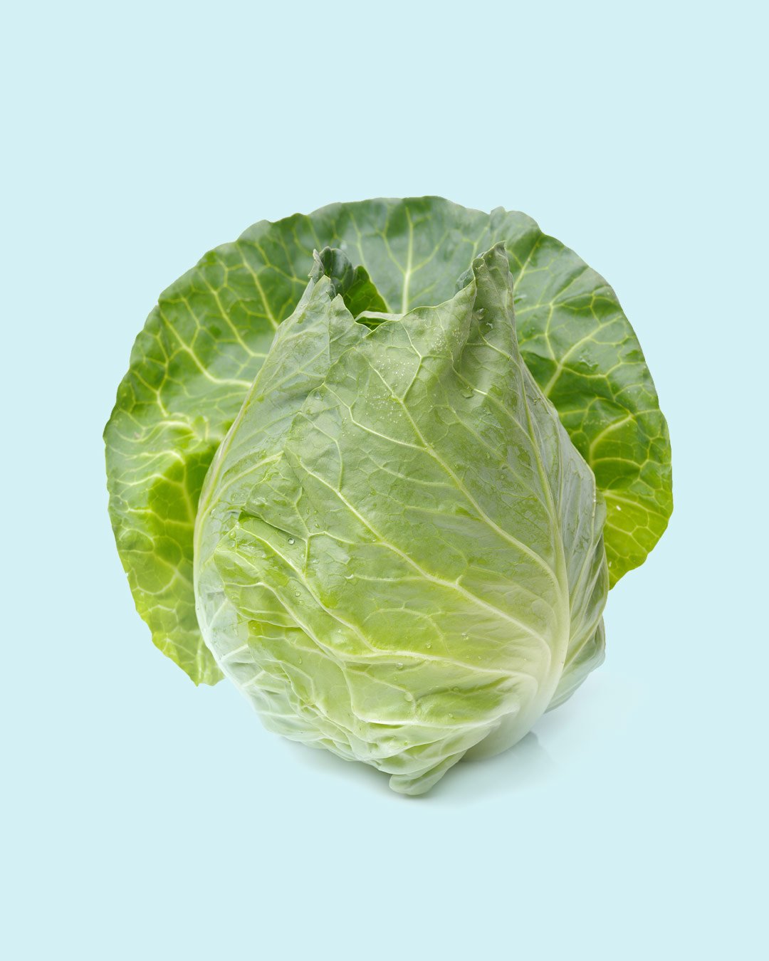 Veg+Fruit_Cabbage1.jpg