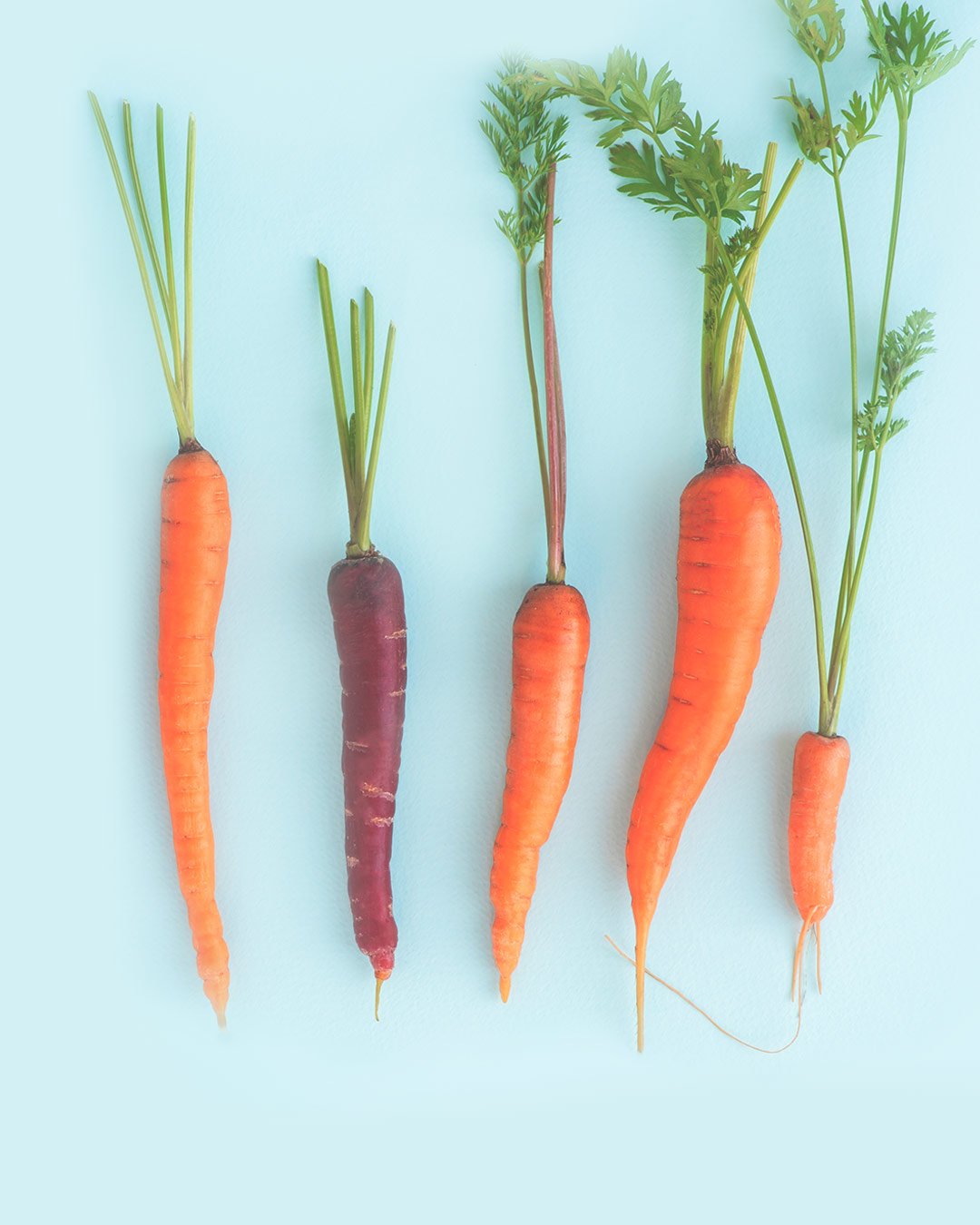 Veg+Fruit_Carrots.jpg