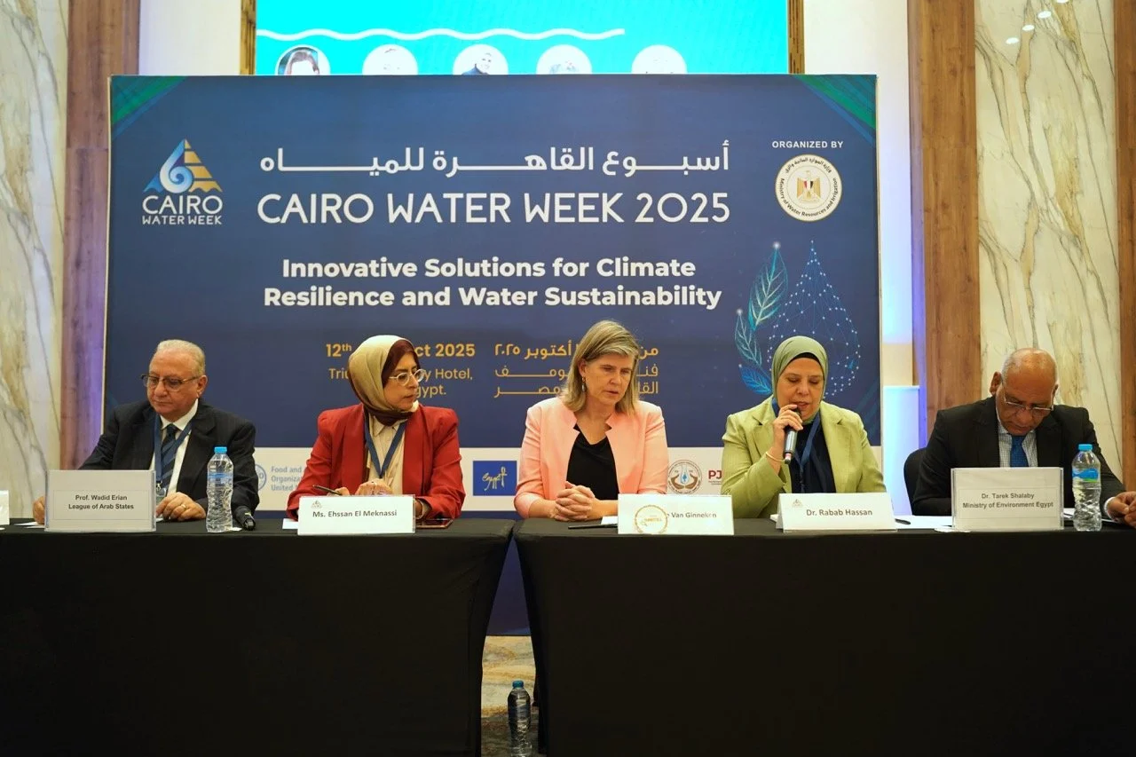 L-R: Wadid Erian, Ehssan El Meknassi (WRT, Alliance for Global Water Adaptation), Meike van Ginneken (Water Envoy, Netherlands), Rabbab Hassan (MWRI, Egypt), Tarek Shalaby (Ministry of Environment, Egypt)