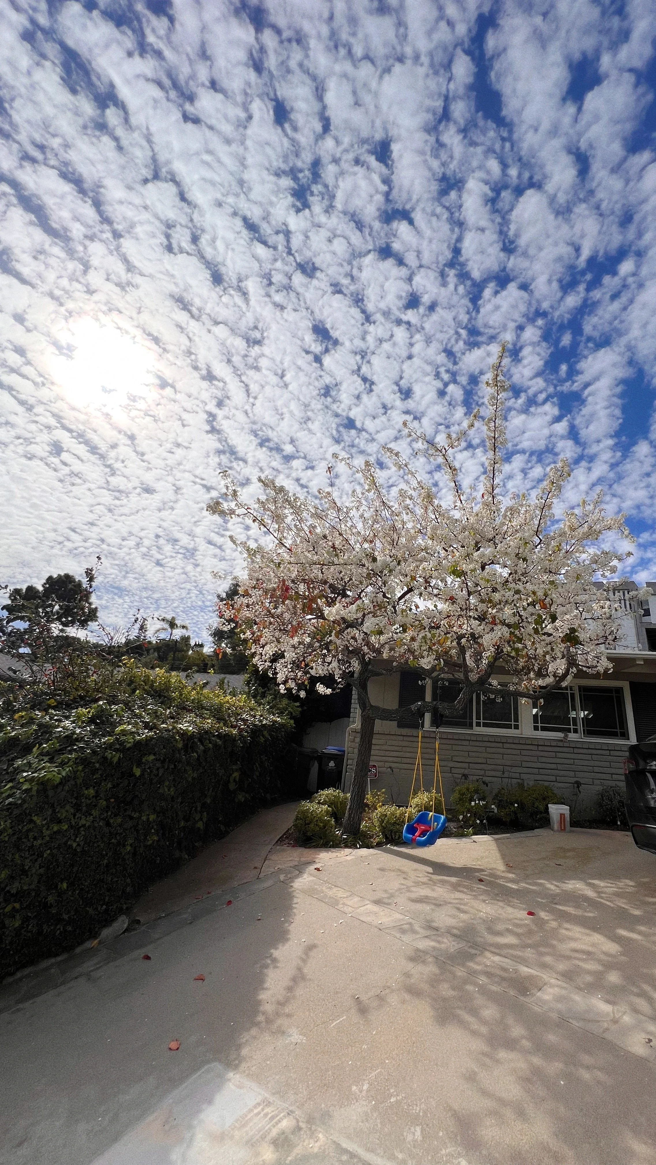 4AF19461-2C6F-4160-BA4A-9F952FF49F8E (1).jpeg