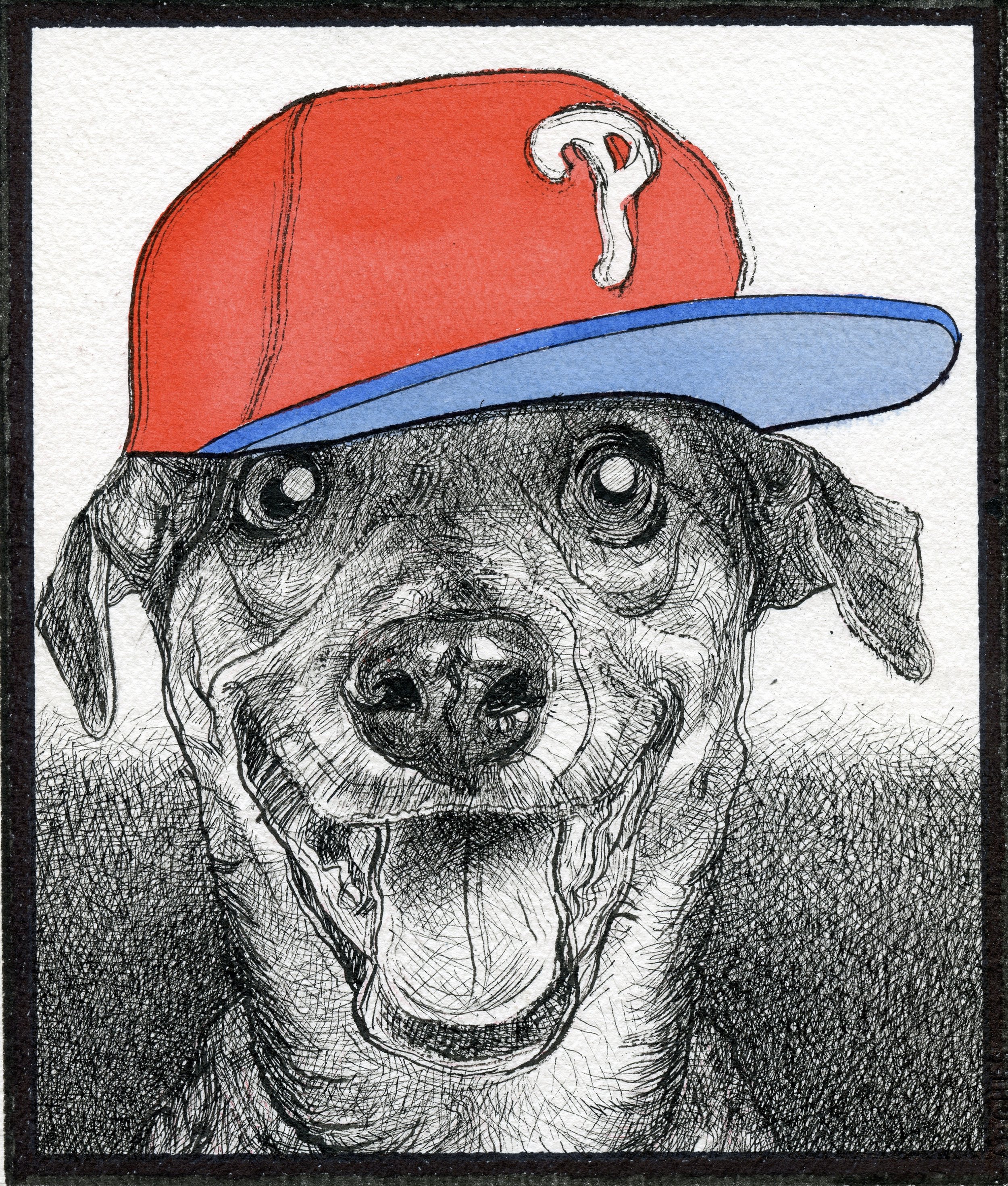 An illustration of a happy dog wearing a red and blue baseball cap with a question mark on it.