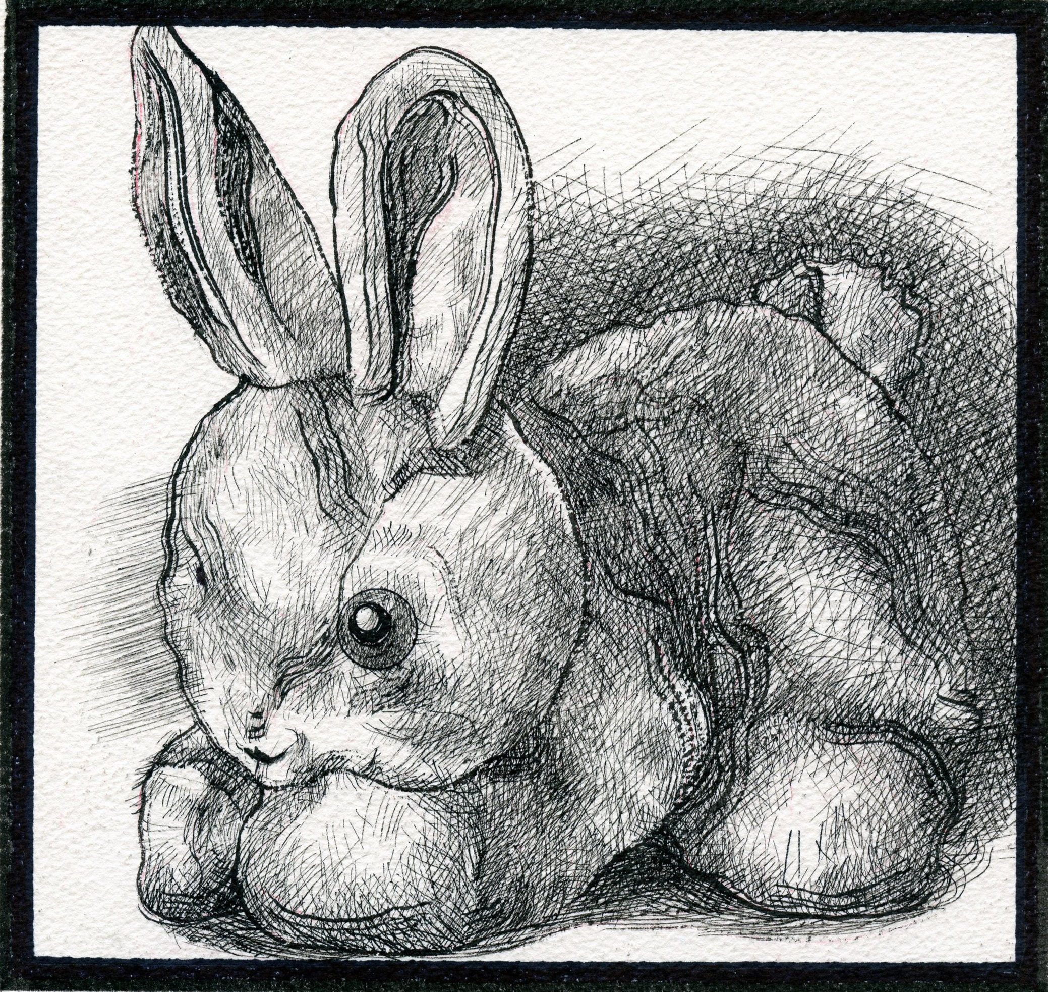 Black and white sketch of a rabbit lying down with its front paws folded beneath it, detailed with cross-hatching and shading.