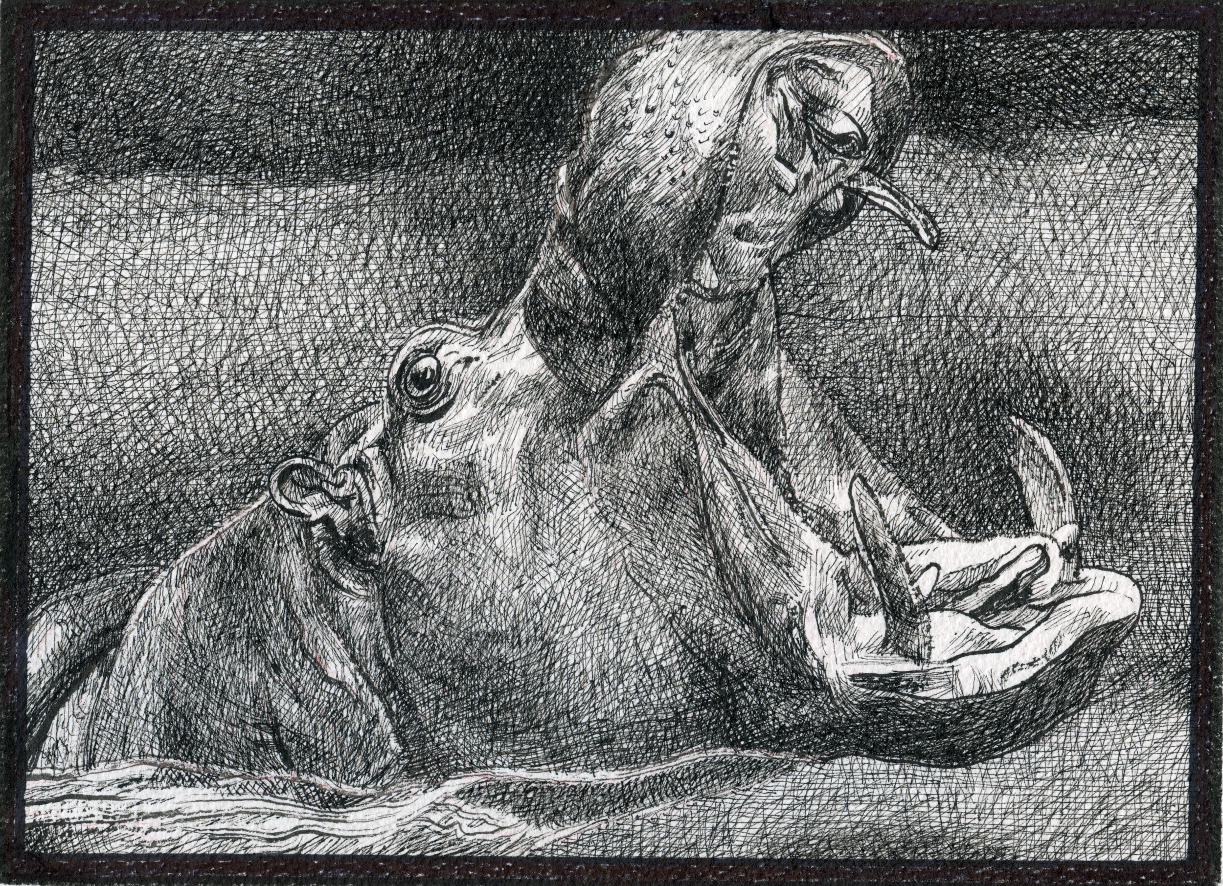 A detailed black and white drawing of a hippopotamus with its mouth open, showing its teeth, and a person sitting on its back, holding a pen, with a dark textured background.